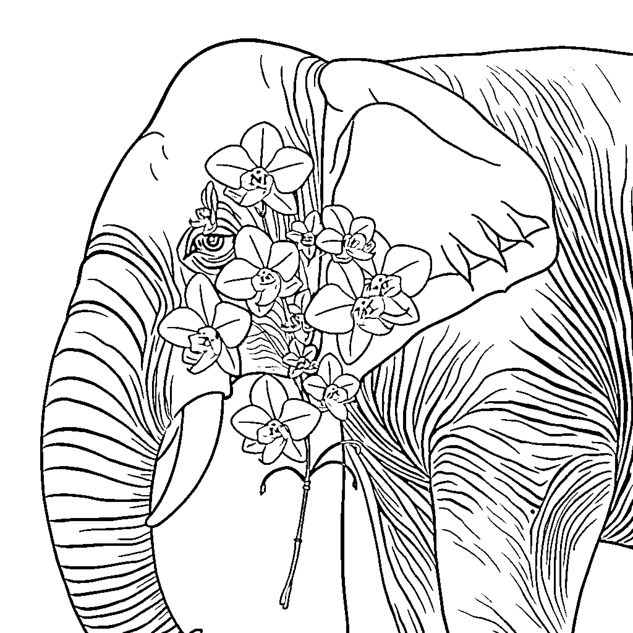 Orchid flowers blooming on natural backdrop Coloring Page (free black-and-white line drawing printable PDF for all, from beginners to advanced learners, including children, teens, adults, and seniors)