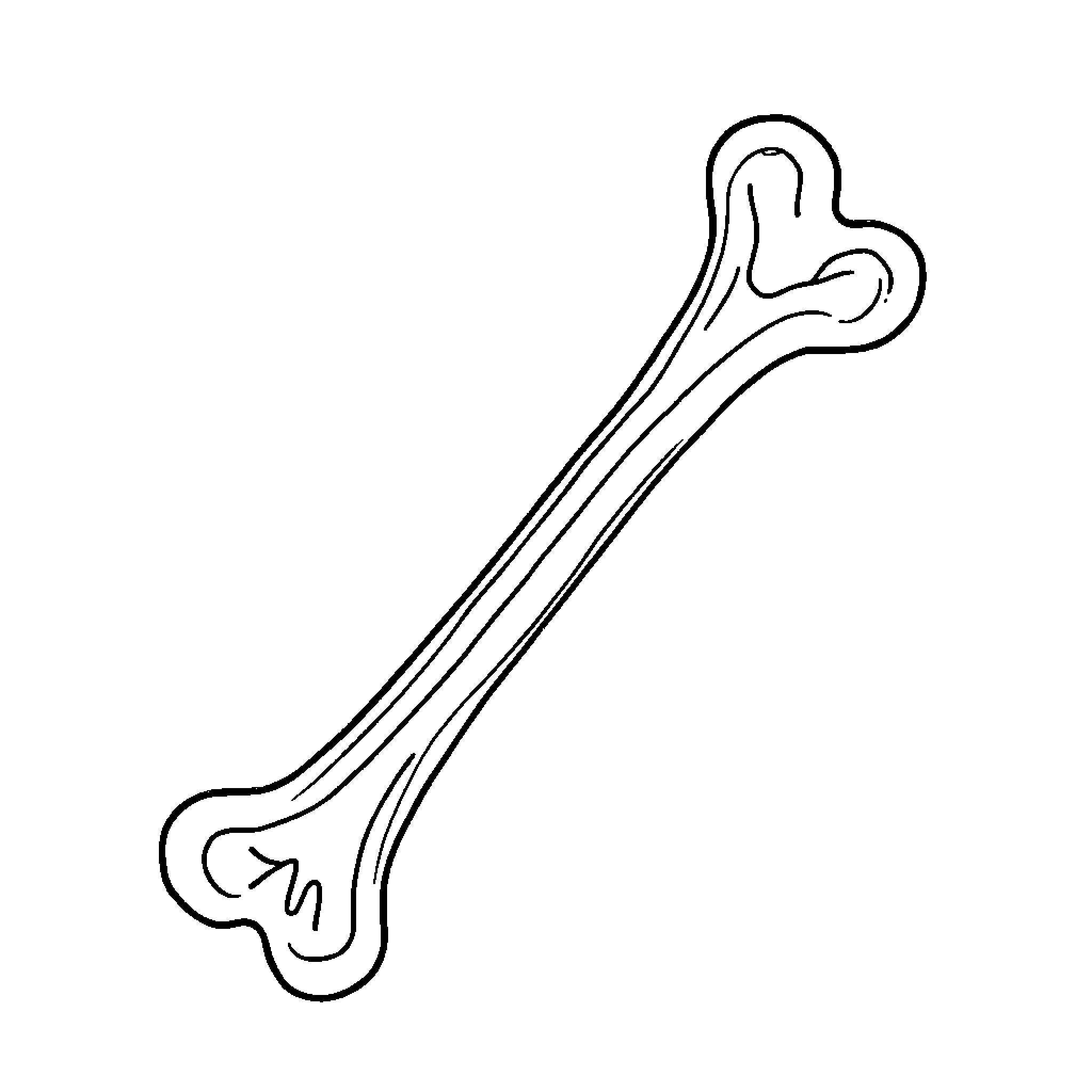 X-ray of bone structure Coloring Page (free black-and-white line drawing printable PDF for all, from beginners to advanced learners, including children, teens, adults, and seniors)