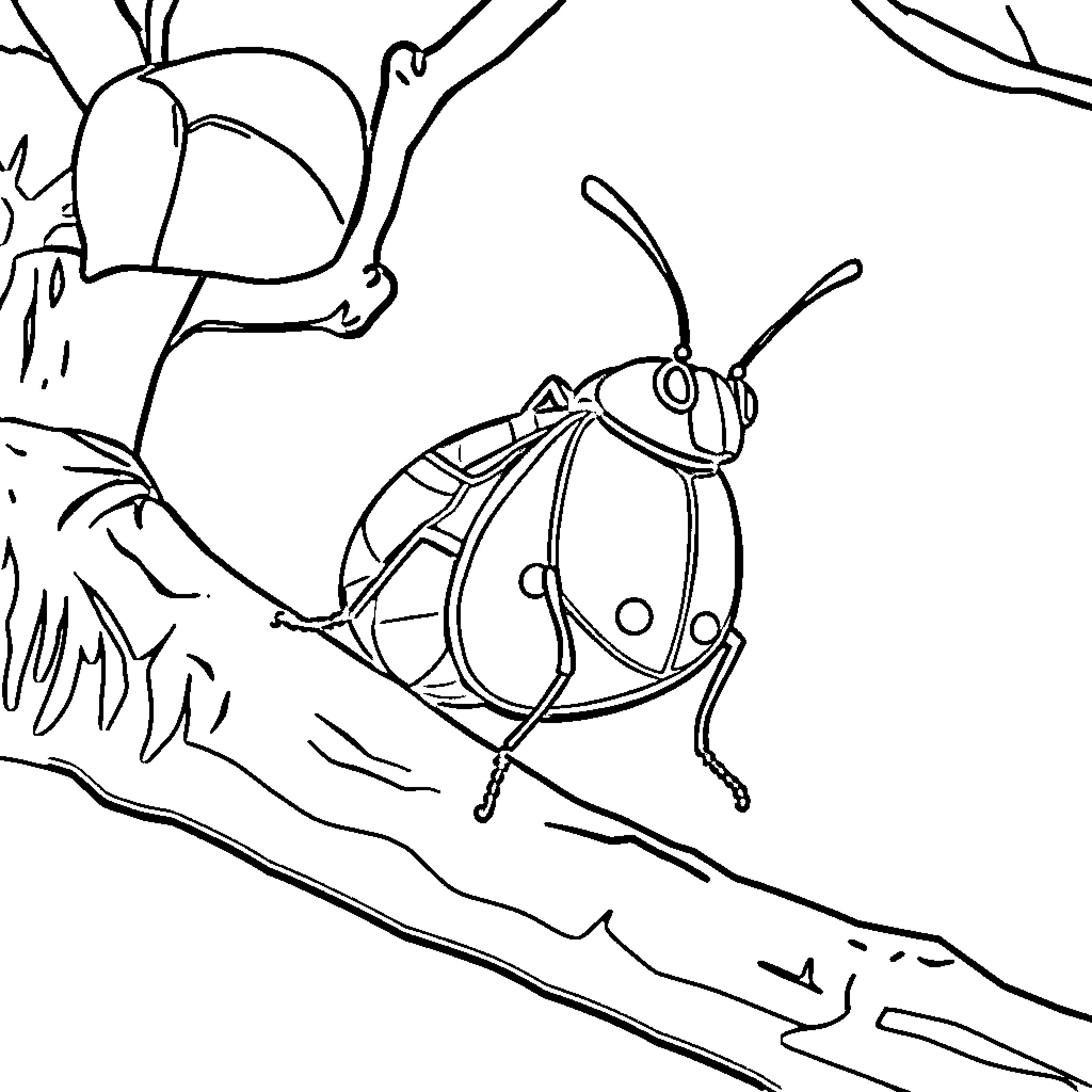 Lantern Bug exploring the branches Coloring Page (free black-and-white line drawing printable PDF for all, from beginners to advanced learners, including children, teens, adults, and seniors)