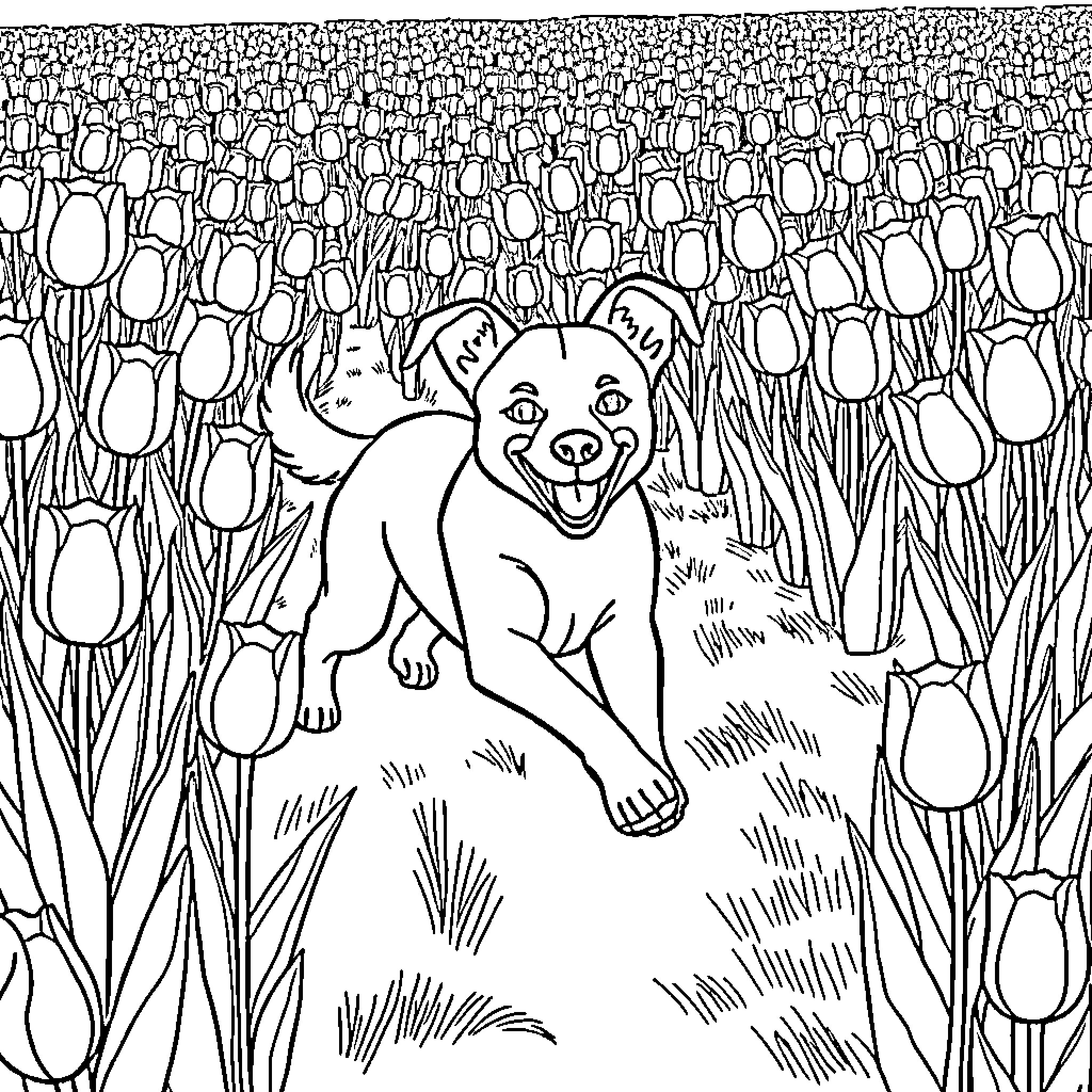 Dog exploring tulips field Coloring Page (free black-and-white line drawing printable PDF for all, from beginners to advanced learners, including children, teens, adults, and seniors)