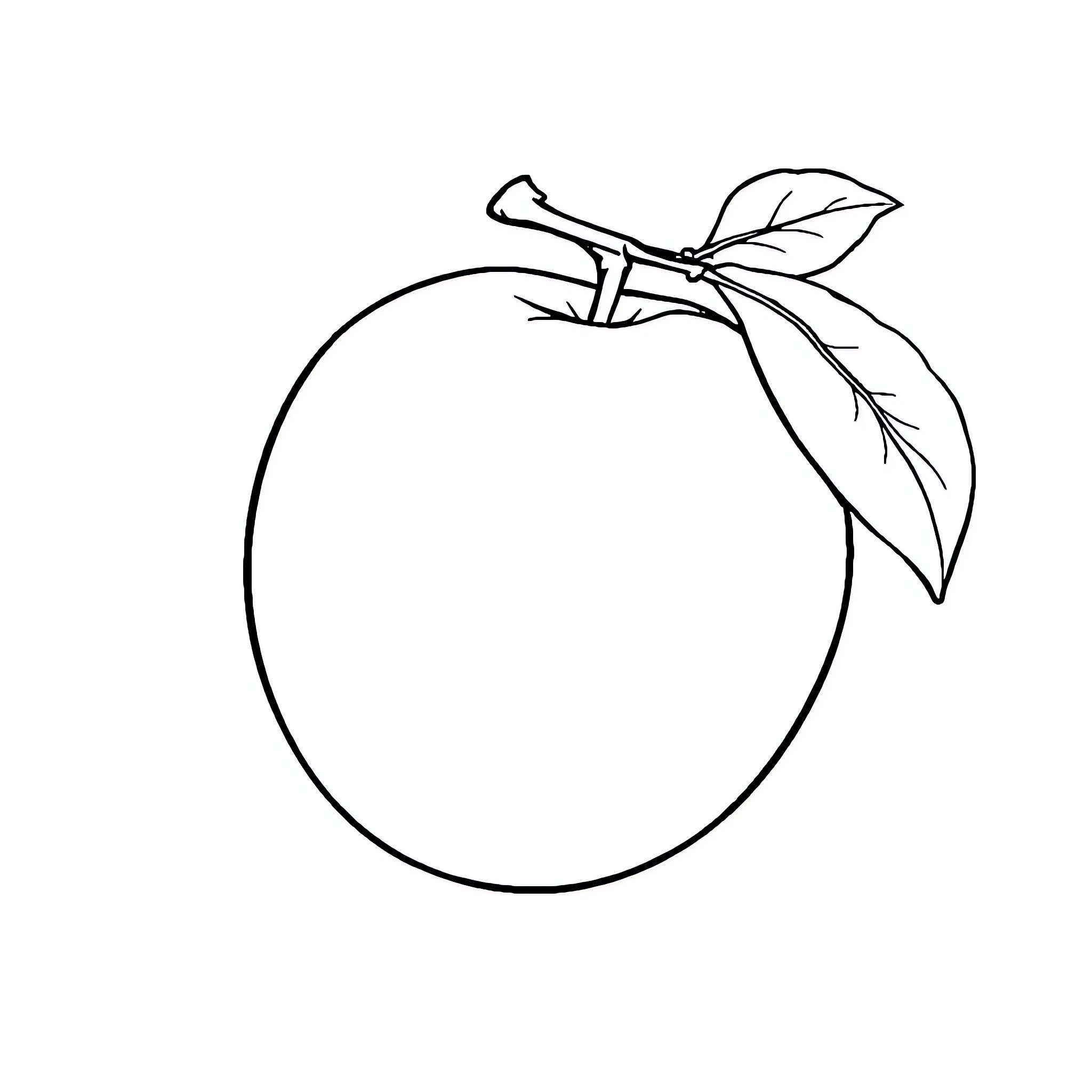 Peach outline with leaf Coloring Page (free black-and-white line drawing printable PDF for all, from beginners to advanced learners, including children, teens, adults, and seniors)