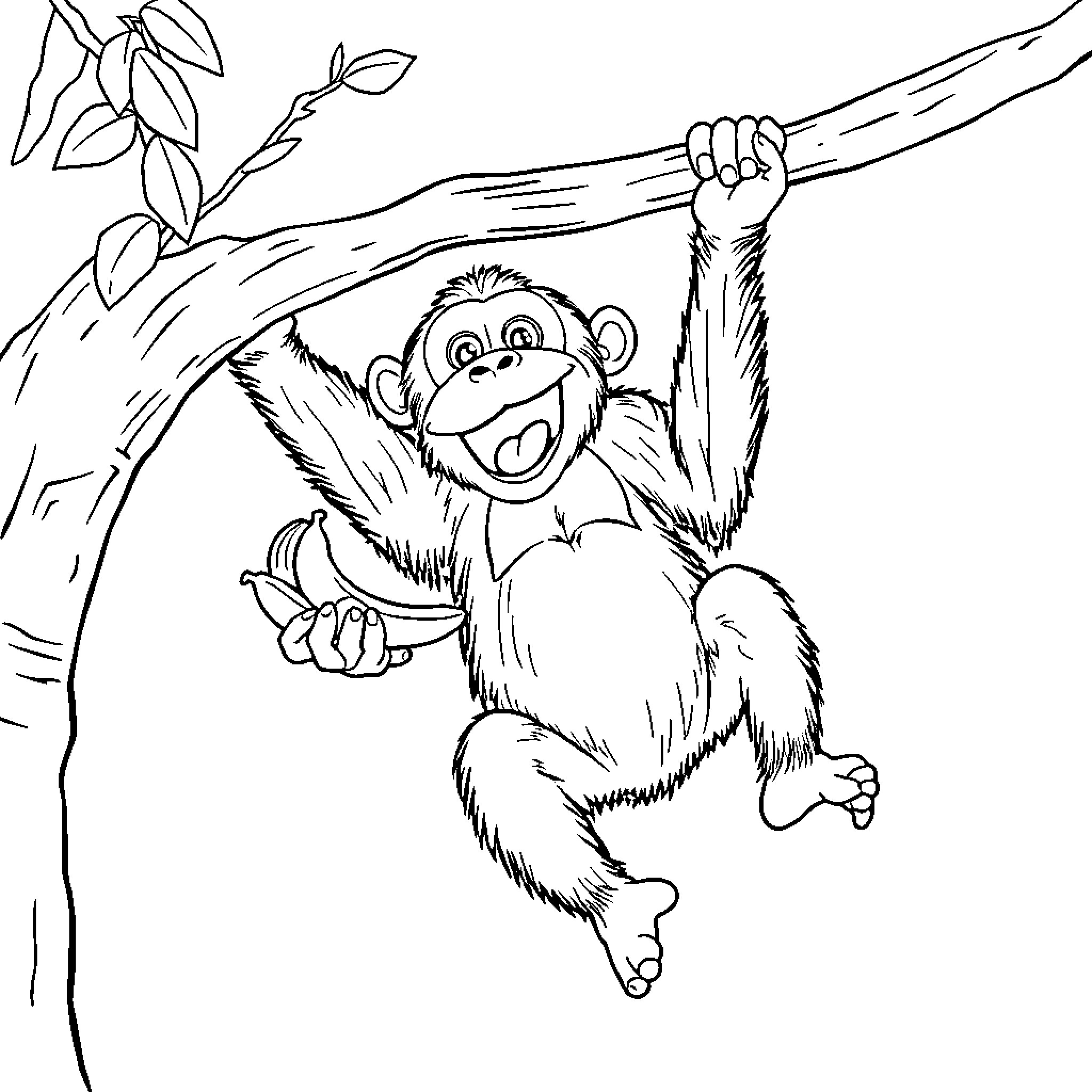 Chimpanzee happily swinging on tree branch Coloring Page (free black-and-white line drawing printable PDF for all, from beginners to advanced learners, including children, teens, adults, and seniors)