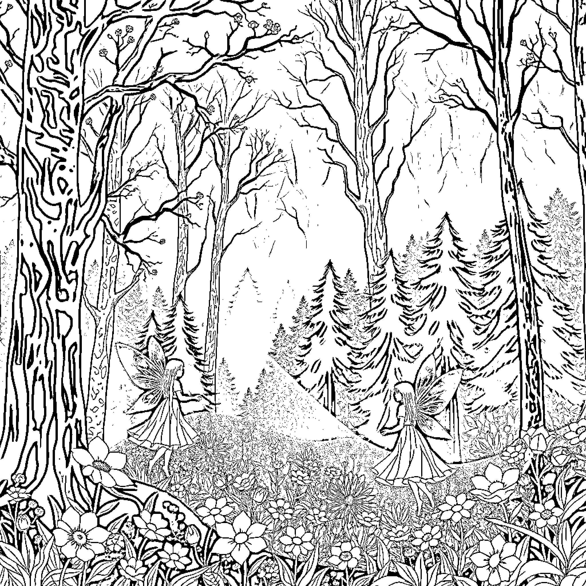 Fairy forest with enchanting creatures Coloring Page (free black-and-white line drawing printable PDF for all, from beginners to advanced learners, including children, teens, adults, and seniors)