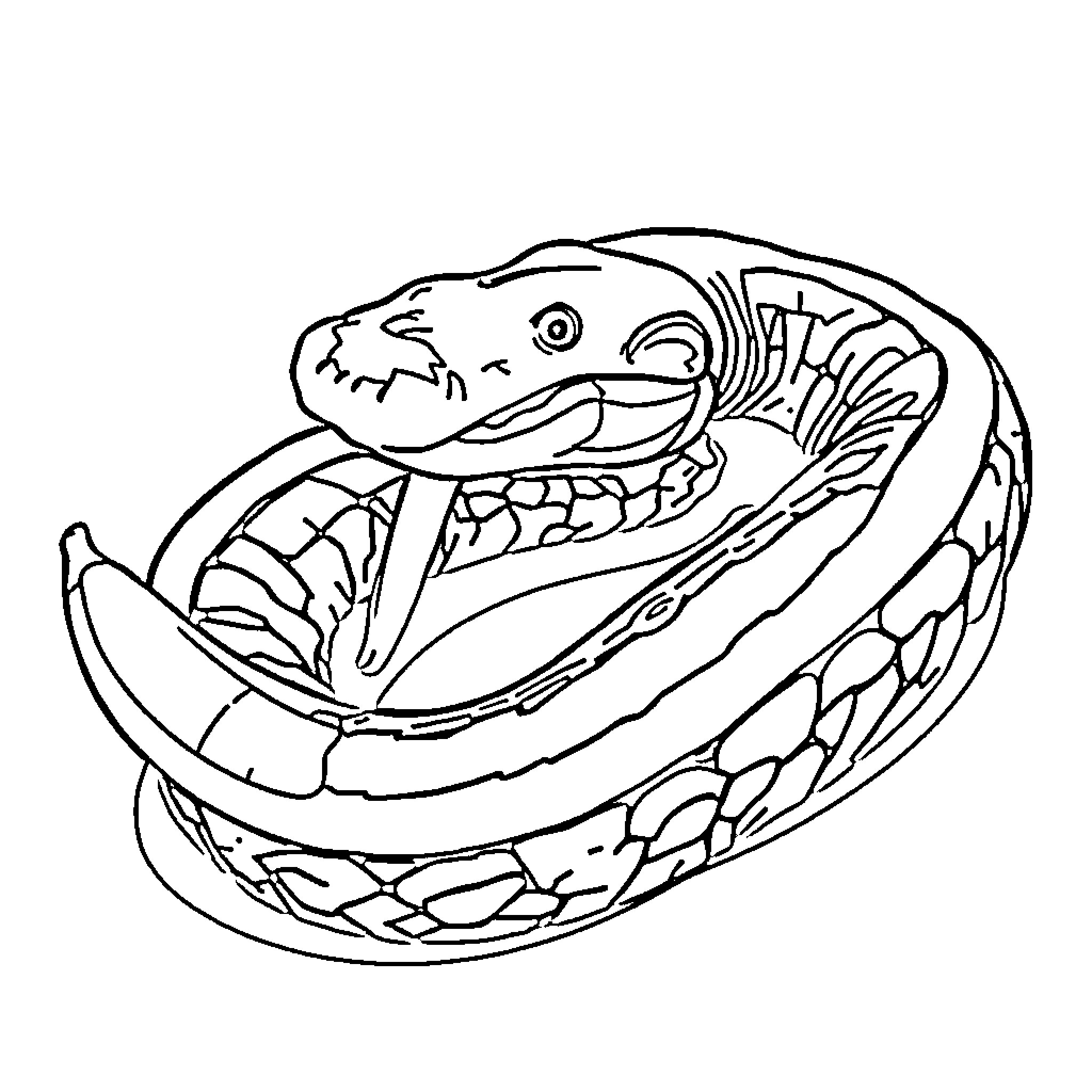 Anaconda coiled up in sinuous pose Coloring Page (free black-and-white line drawing printable PDF for all, from beginners to advanced learners, including children, teens, adults, and seniors)