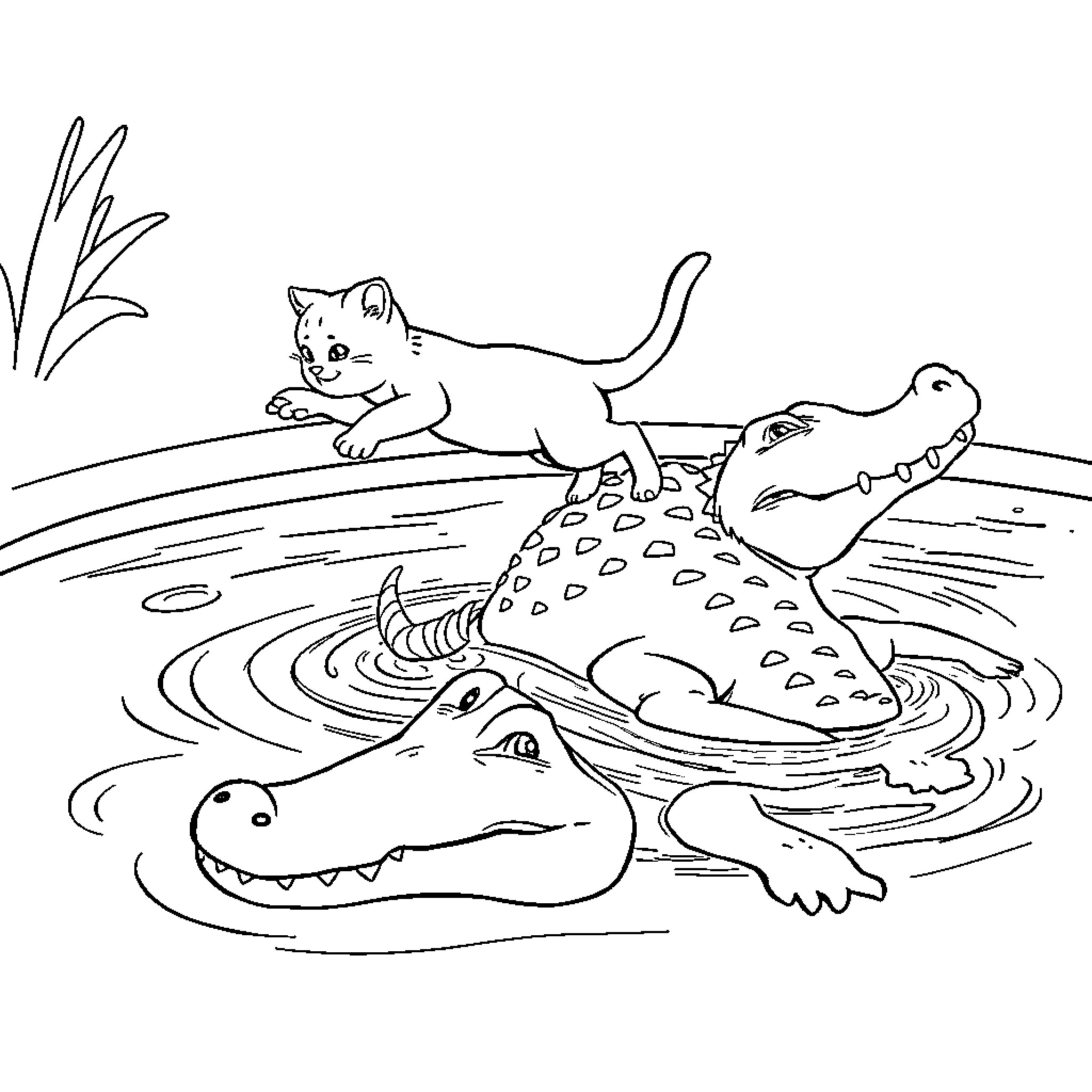 Cat playing with crocodiles in the water Coloring Page (free black-and-white line drawing printable PDF for all, from beginners to advanced learners, including children, teens, adults, and seniors)