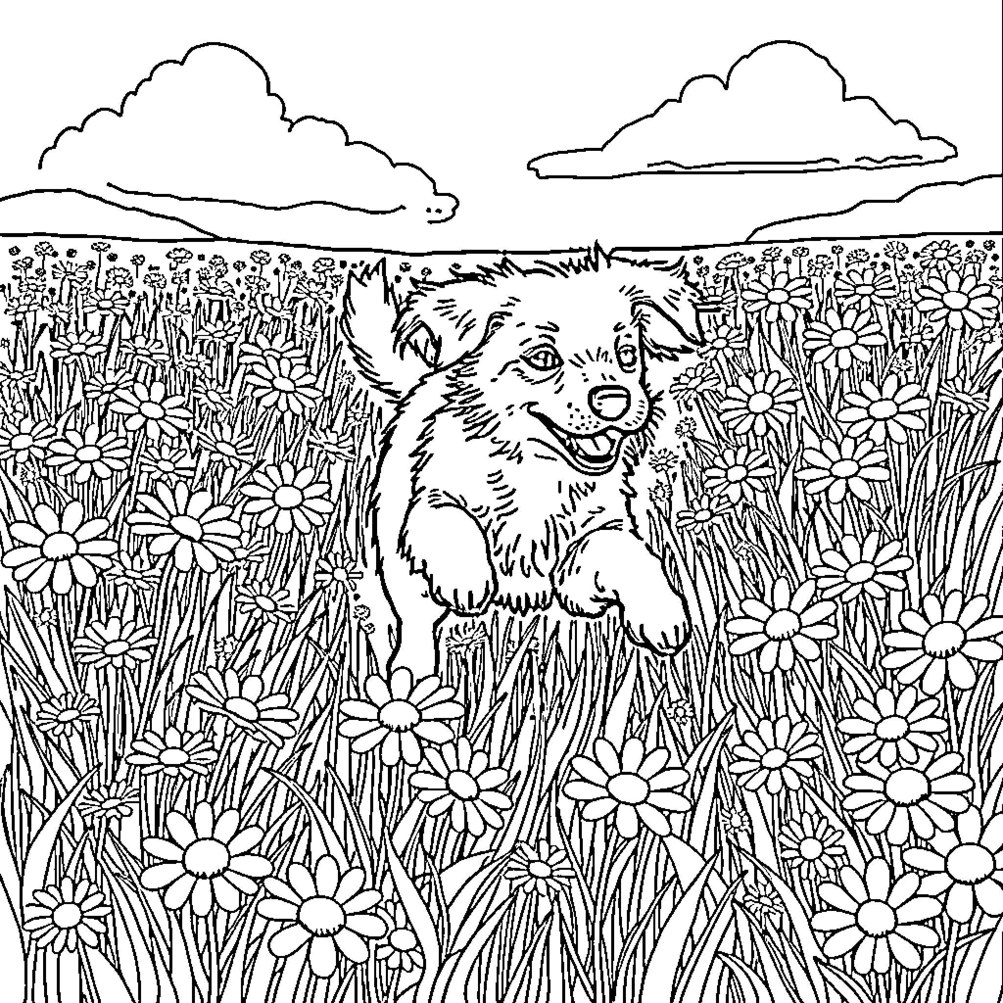 Daisy the playful puppy in a field of flowers Coloring Page (free black-and-white line drawing printable PDF for all, from beginners to advanced learners, including children, teens, adults, and seniors)