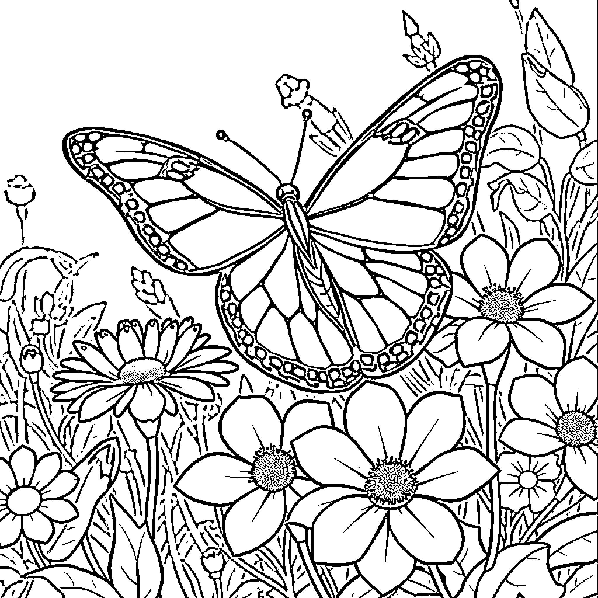 Butterfly amidst a floral garden Coloring Page (free black-and-white line drawing printable PDF for all, from beginners to advanced learners, including children, teens, adults, and seniors)