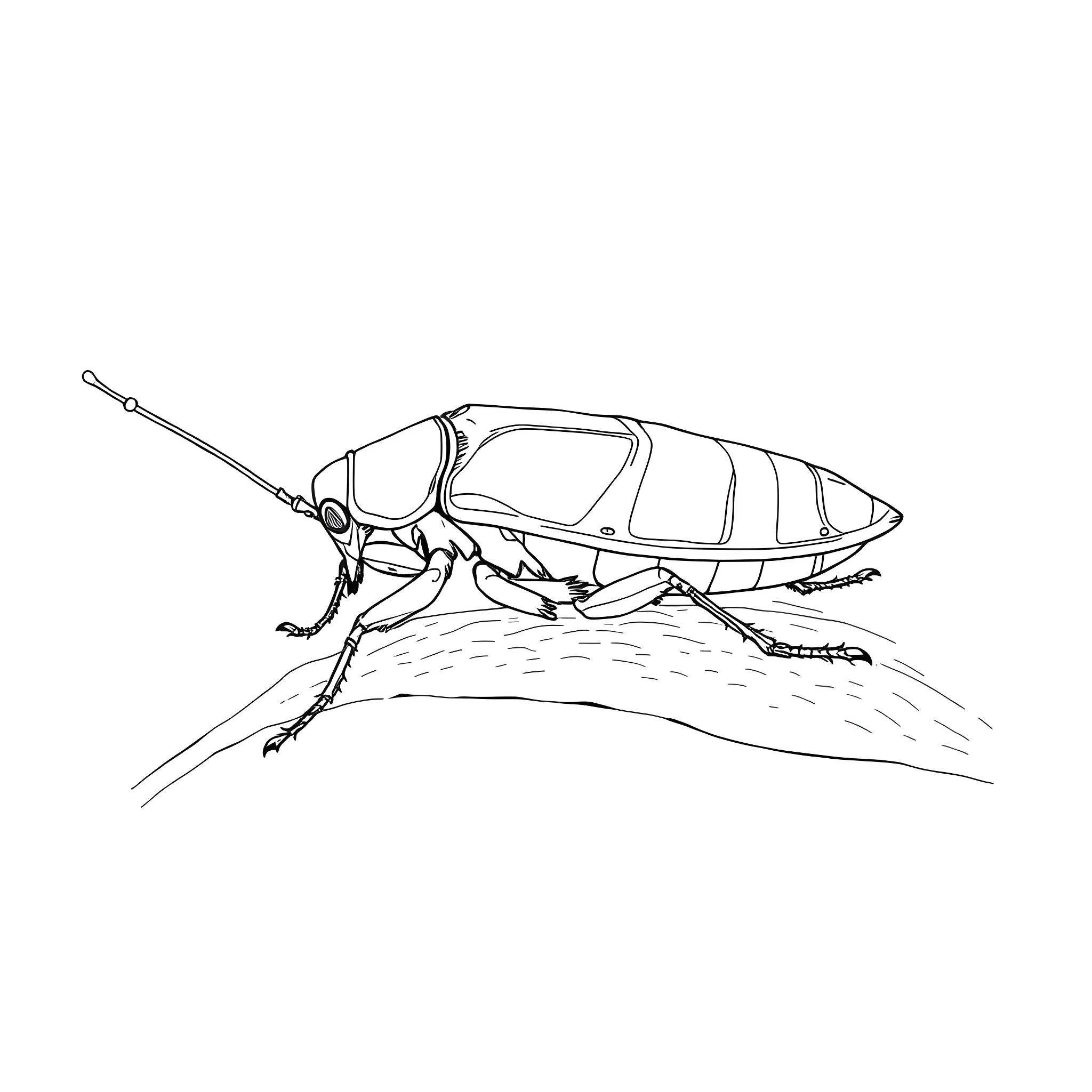 Cockroach scurrying across the ground Coloring Page (free black-and-white line drawing printable PDF for all, from beginners to advanced learners, including children, teens, adults, and seniors)