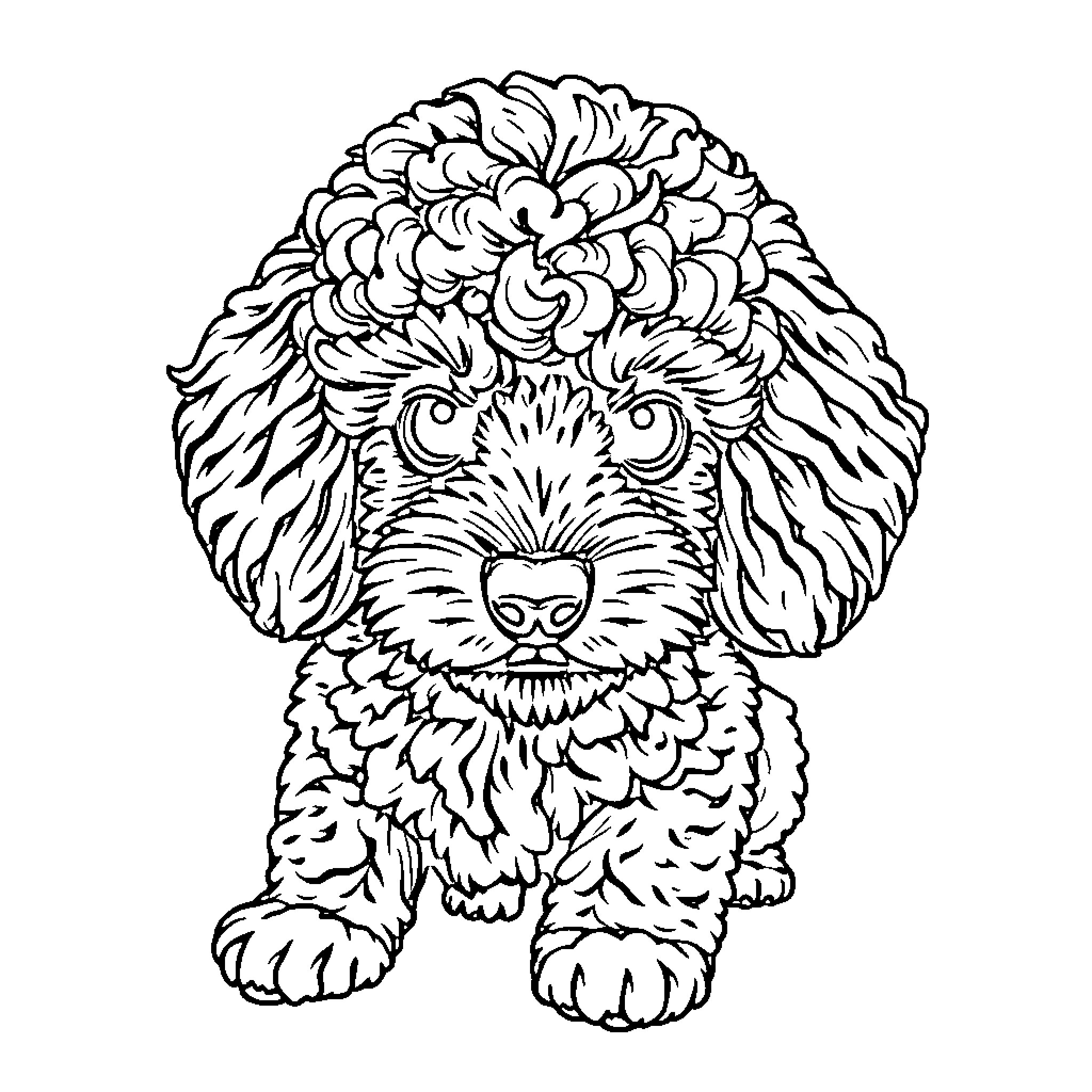Poodle pup striking a playful pose Coloring Page (free black-and-white line drawing printable PDF for all, from beginners to advanced learners, including children, teens, adults, and seniors)