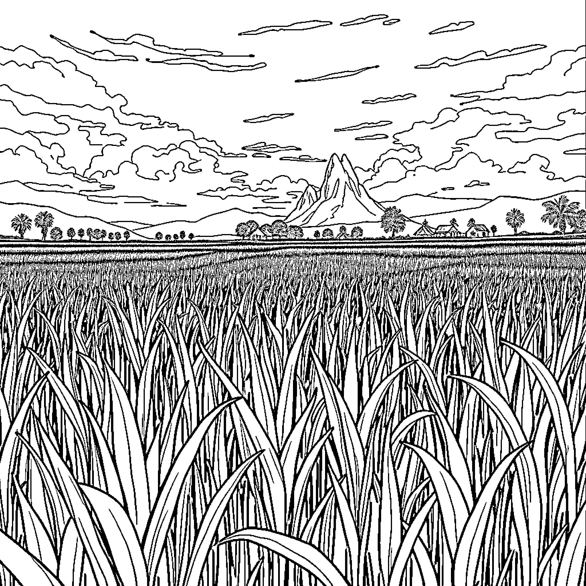 Rice Field Landscape with Distant Mountains Coloring Page (free black-and-white line drawing printable PDF for all, from beginners to advanced learners, including children, teens, adults, and seniors)
