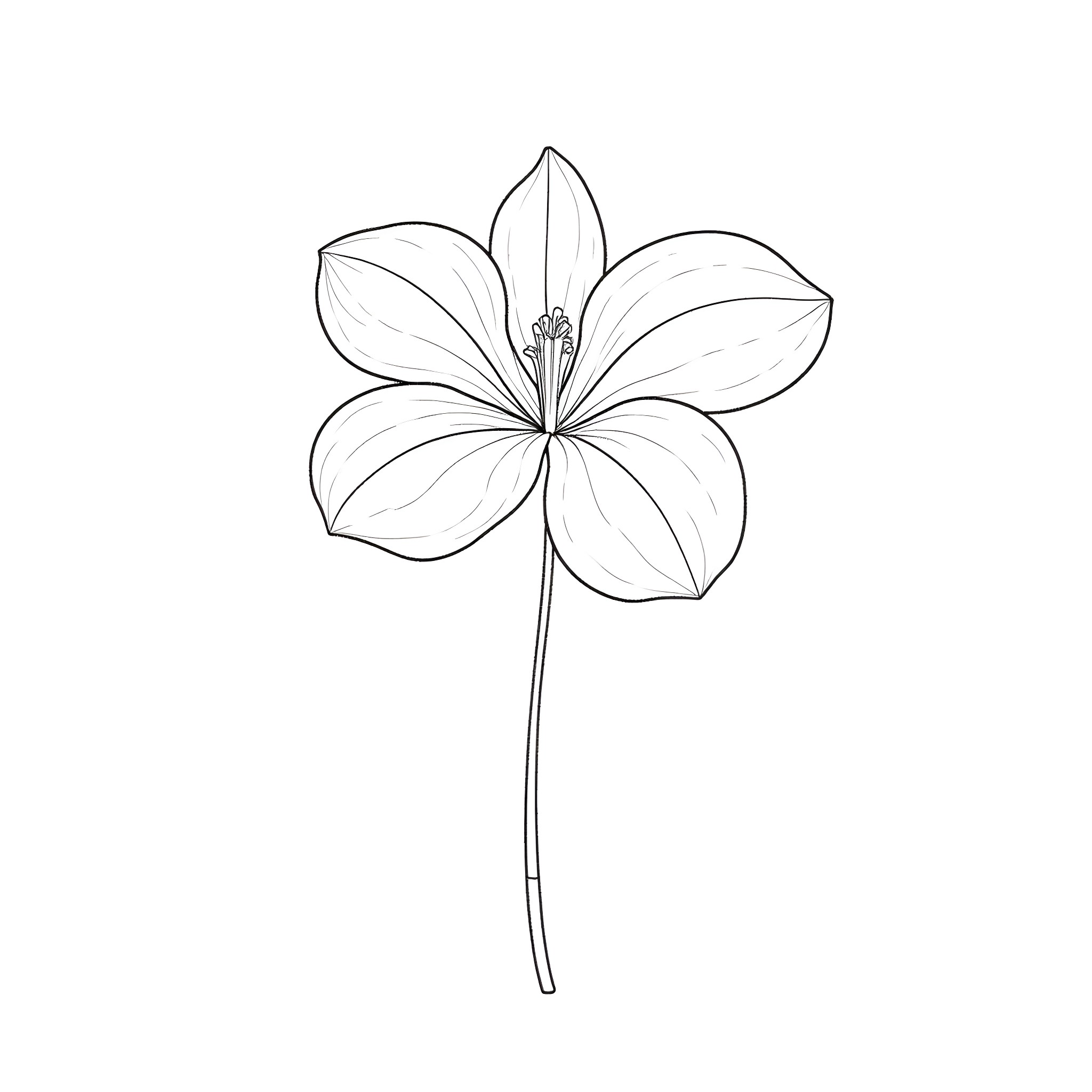 Flower with detailed petals and stem Coloring Page (free black-and-white line drawing printable PDF for all, from beginners to advanced learners, including children, teens, adults, and seniors)