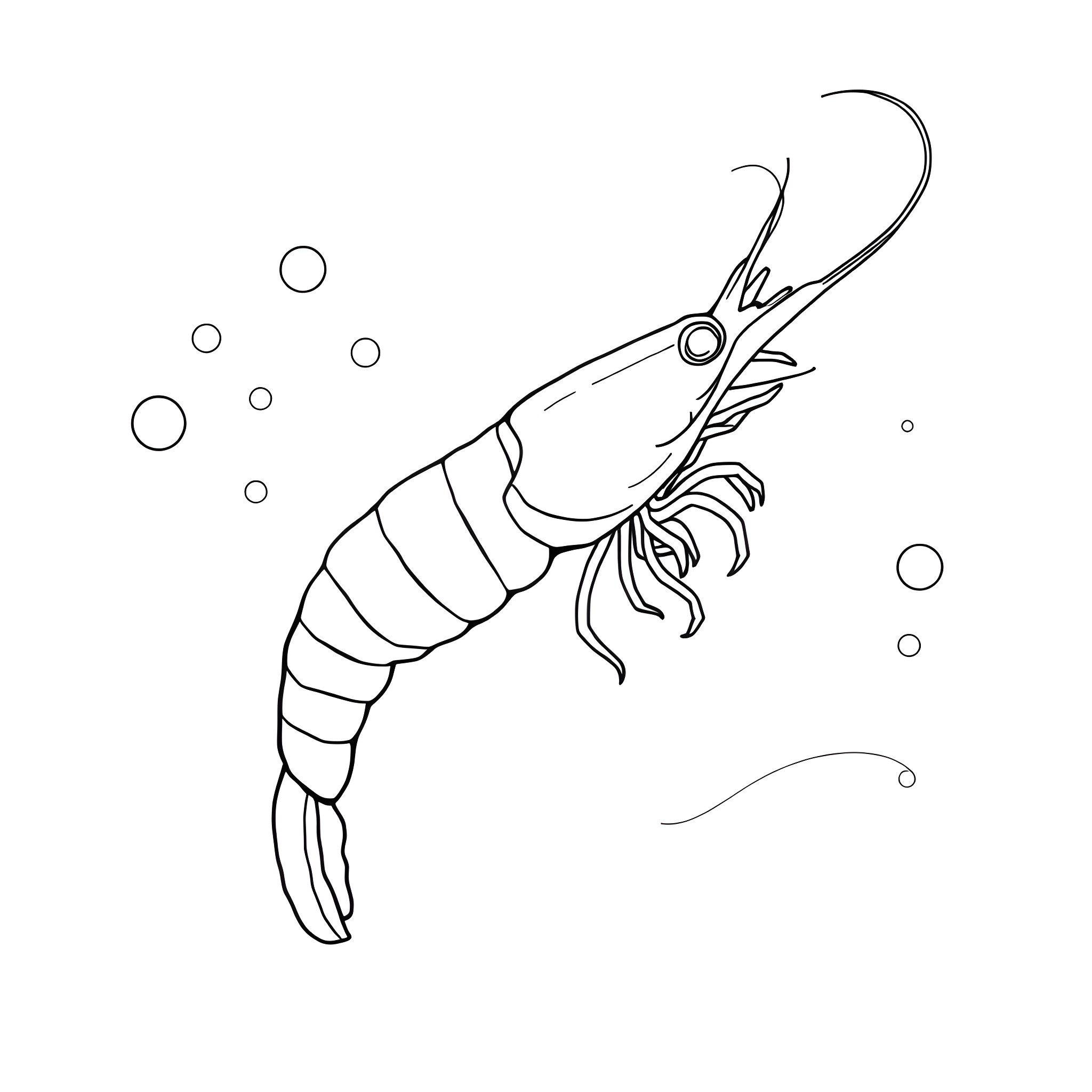 Shrimp swimming among bubbles Coloring Page (free black-and-white line drawing printable PDF for all, from beginners to advanced learners, including children, teens, adults, and seniors)