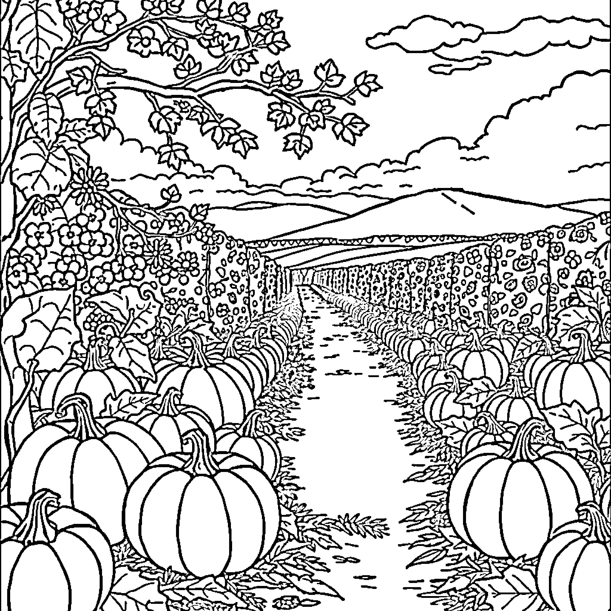 Fall Harvest Abundance in the Countryside Coloring Page (free black-and-white line drawing printable PDF for all, from beginners to advanced learners, including children, teens, adults, and seniors)
