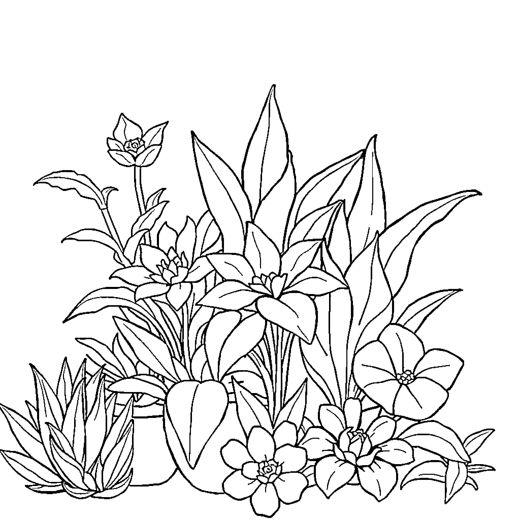 Plant Arrangement of Flowers and Leaves Coloring Page (free black-and-white line drawing printable PDF for all, from beginners to advanced learners, including children, teens, adults, and seniors)