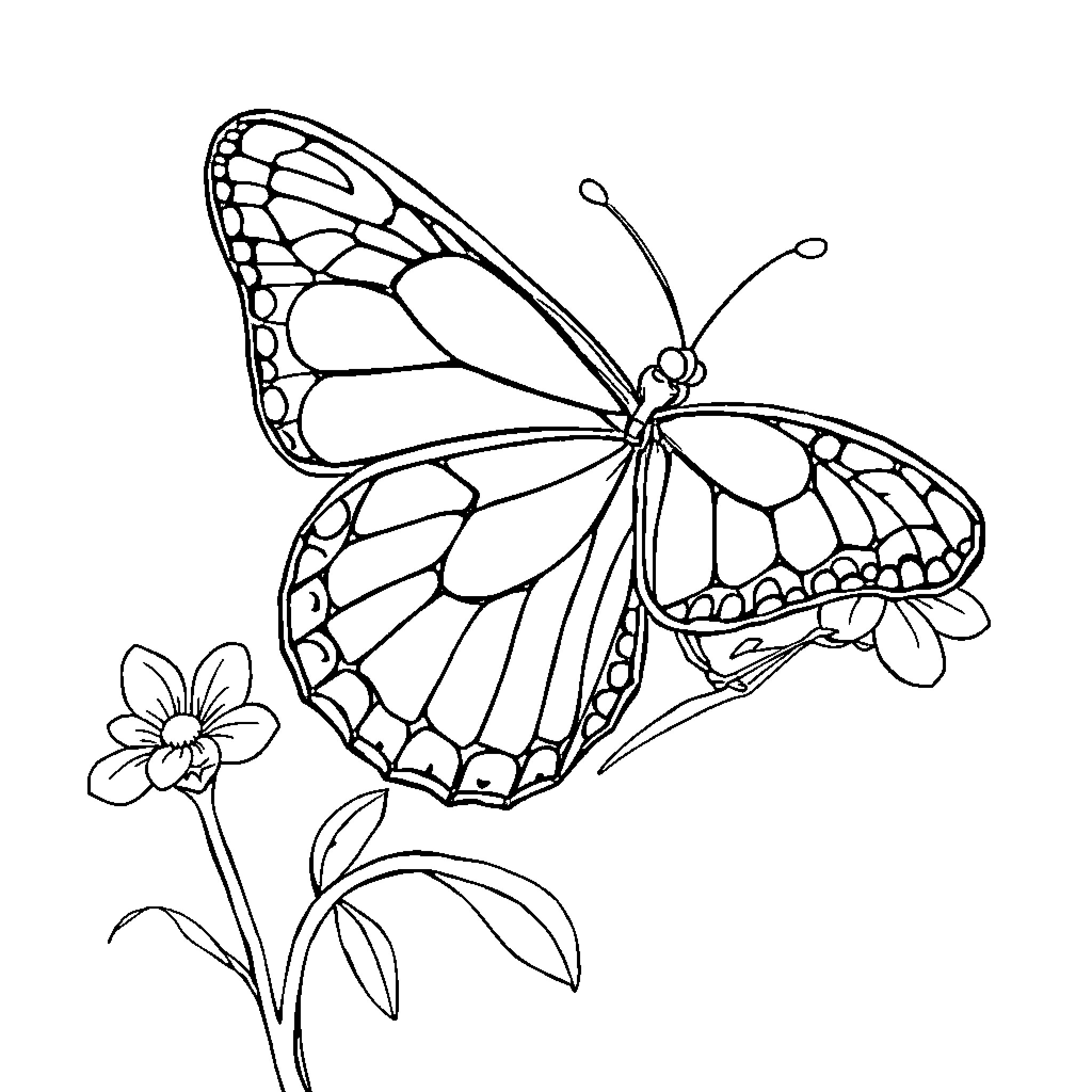 Ladybug resting on a flower Coloring Page (free black-and-white line drawing printable PDF for all, from beginners to advanced learners, including children, teens, adults, and seniors)