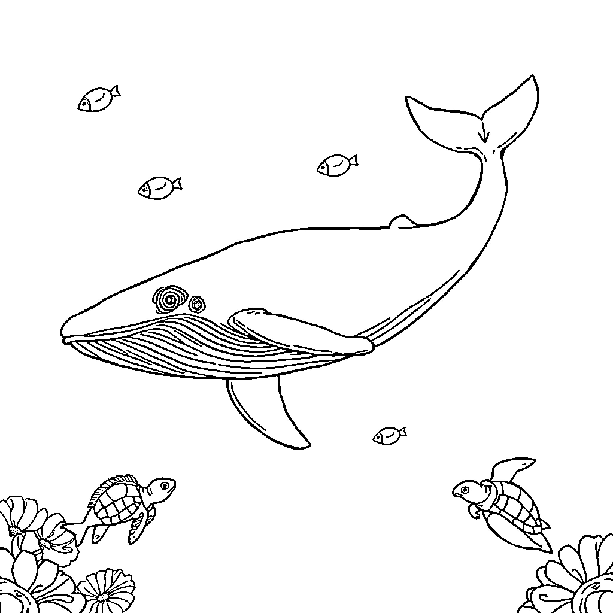 Whale swimming with sea creatures Coloring Page (free black-and-white line drawing printable PDF for all, from beginners to advanced learners, including children, teens, adults, and seniors)