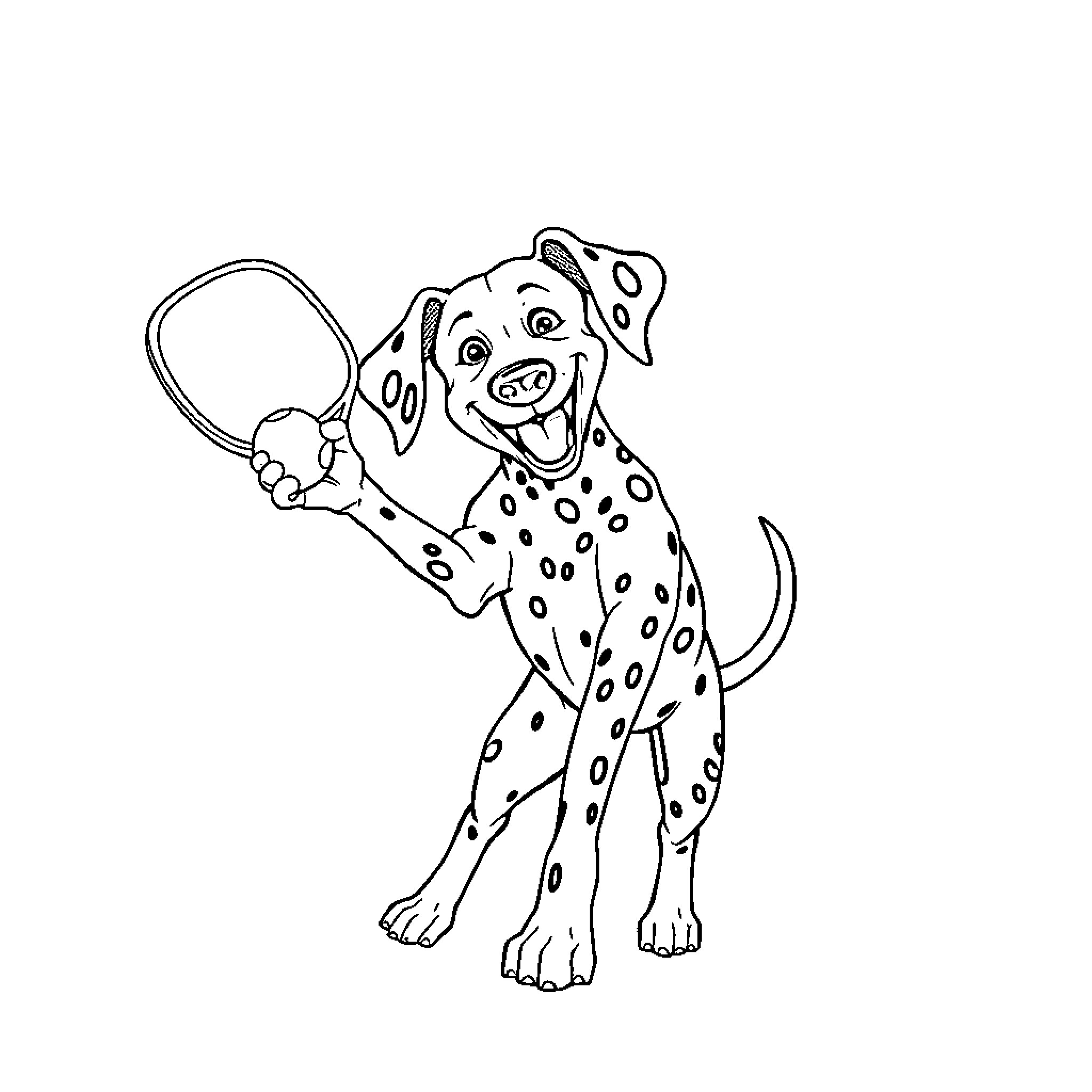 Dalmatian playing with a tennis ball Coloring Page (free black-and-white line drawing printable PDF for all, from beginners to advanced learners, including children, teens, adults, and seniors)
