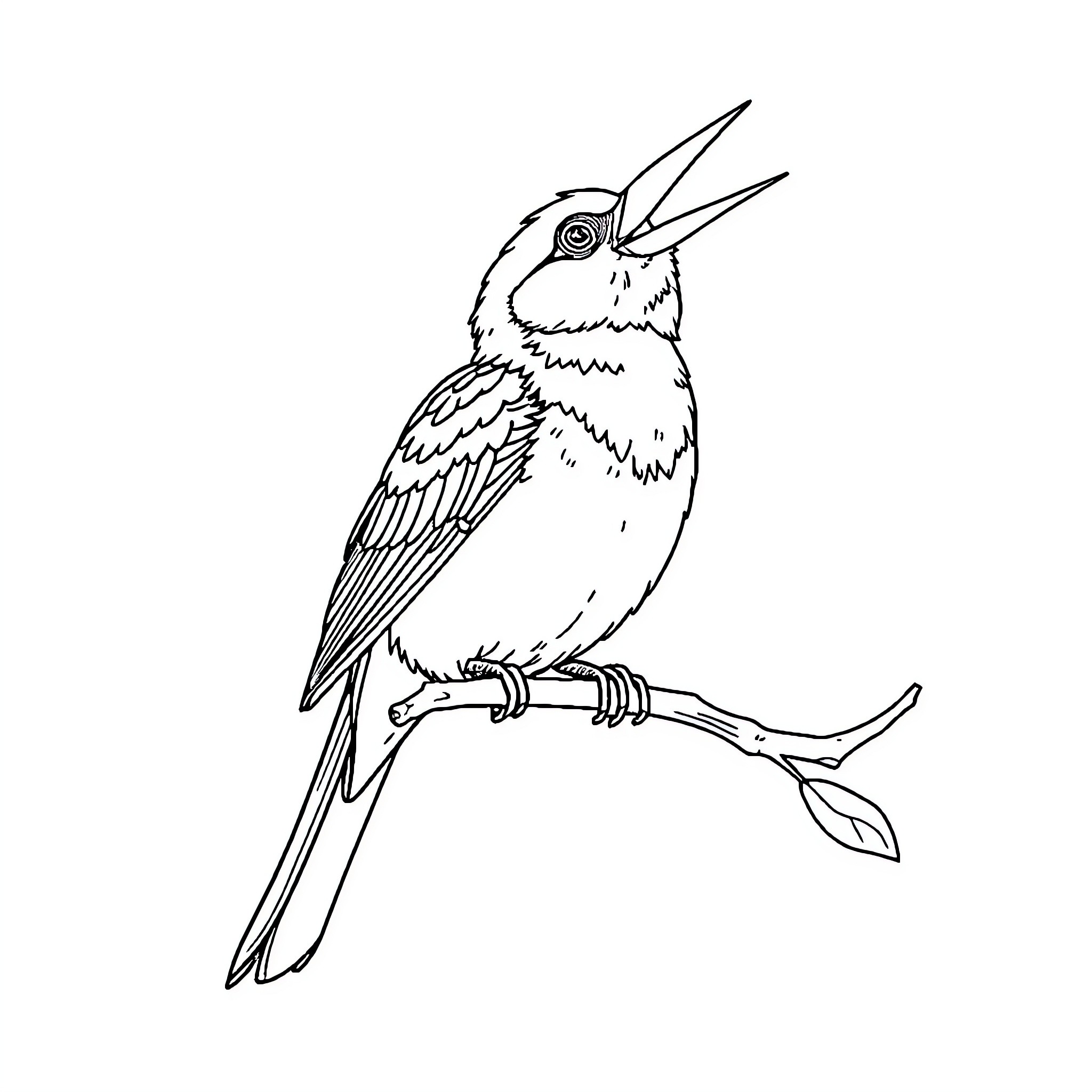 Parrot perched on branch with open beak Coloring Page (free black-and-white line drawing printable PDF for all, from beginners to advanced learners, including children, teens, adults, and seniors)