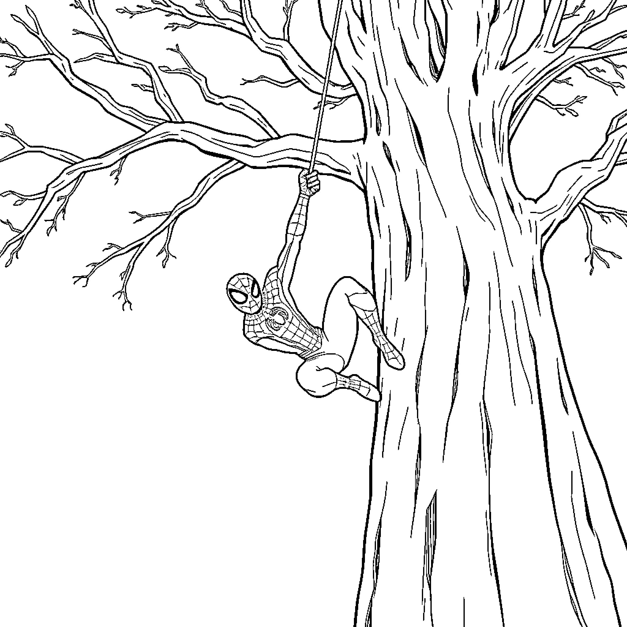 Spiderman swinging on tree branch in forest Coloring Page (free black-and-white line drawing printable PDF for all, from beginners to advanced learners, including children, teens, adults, and seniors)