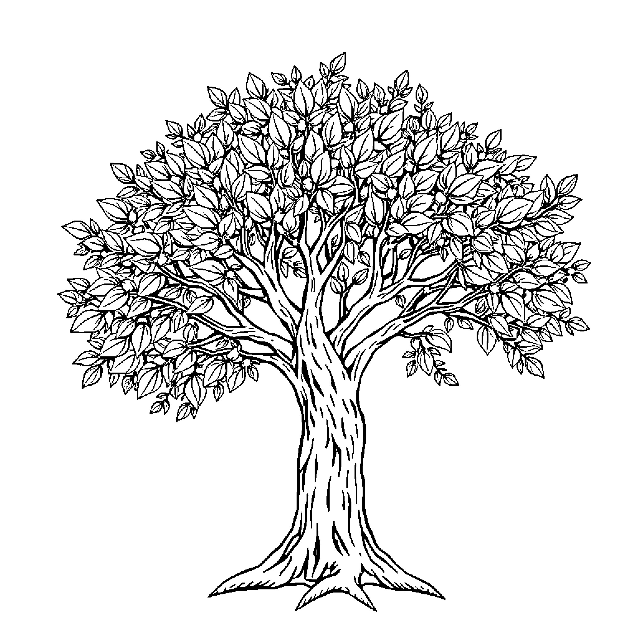 Olive Tree with Flourishing Foliage Coloring Page (free black-and-white line drawing printable PDF for all, from beginners to advanced learners, including children, teens, adults, and seniors)