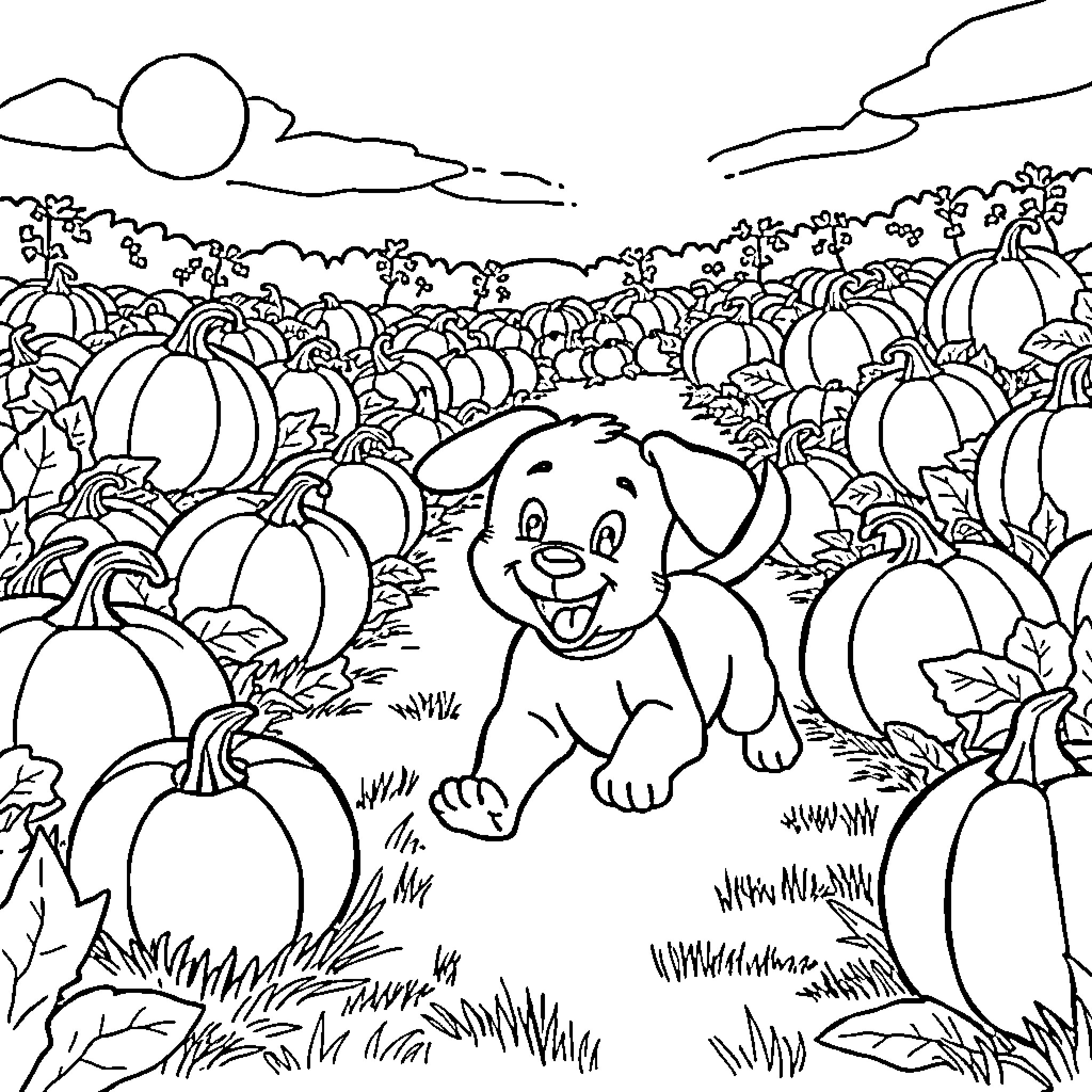 Puppy exploring a pumpkin patch Coloring Page (free black-and-white line drawing printable PDF for all, from beginners to advanced learners, including children, teens, adults, and seniors)