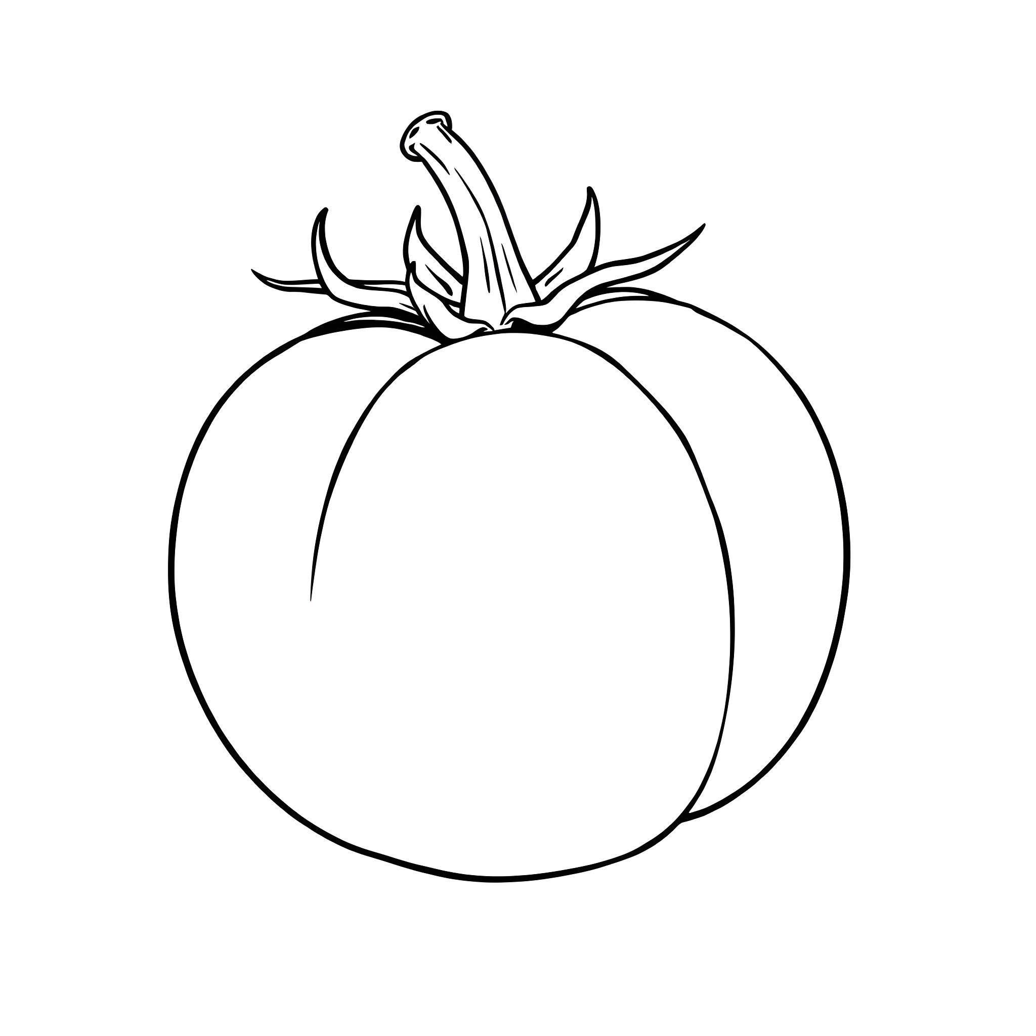 Tamato ripe and ready to harvest Coloring Page (free black-and-white line drawing printable PDF for all, from beginners to advanced learners, including children, teens, adults, and seniors)