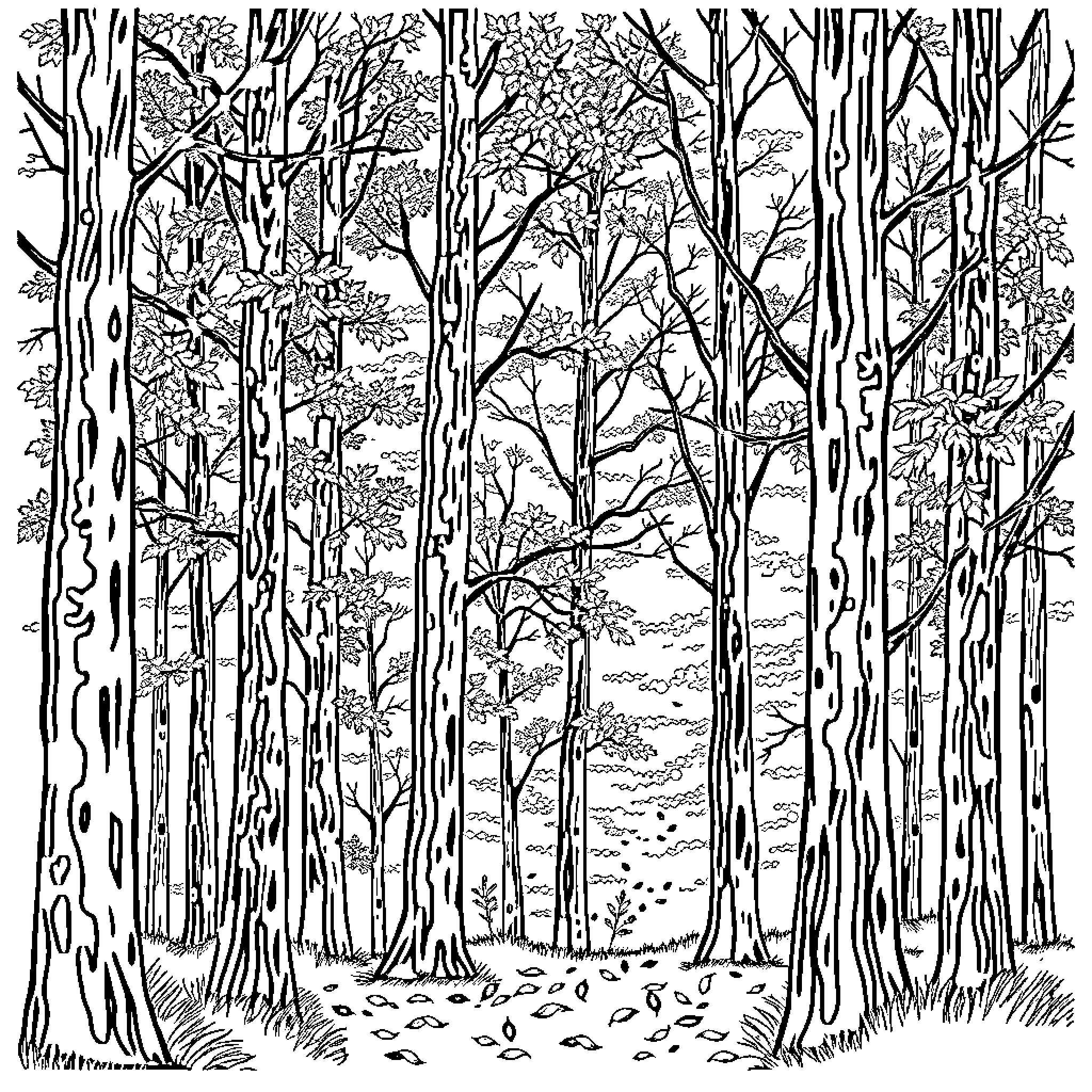 Tree-lined forest path with dense vegetation Coloring Page (free black-and-white line drawing printable PDF for all, from beginners to advanced learners, including children, teens, adults, and seniors)