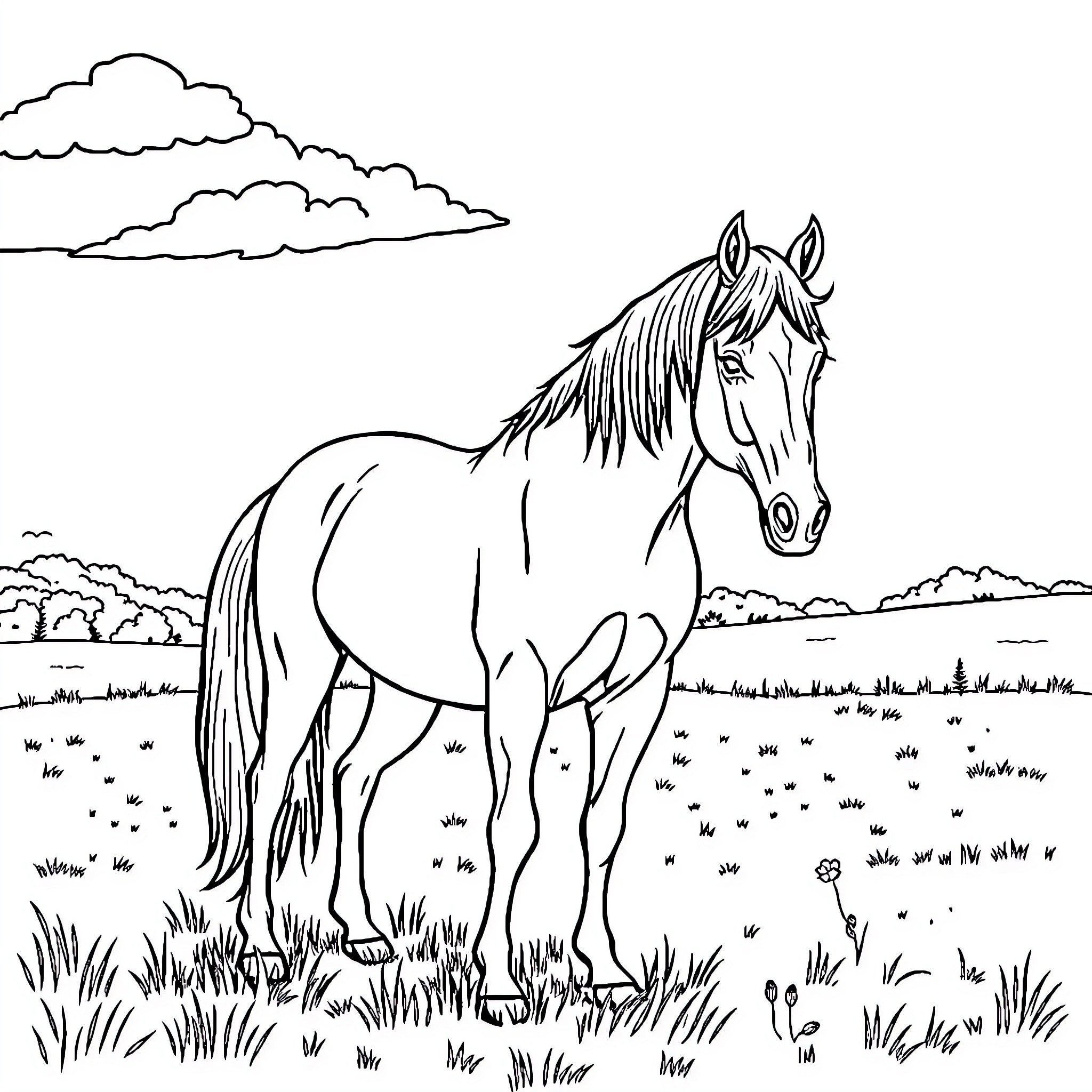 Horse grazing peacefully in a pastoral landscape Coloring Page (free black-and-white line drawing printable PDF for all, from beginners to advanced learners, including children, teens, adults, and seniors)