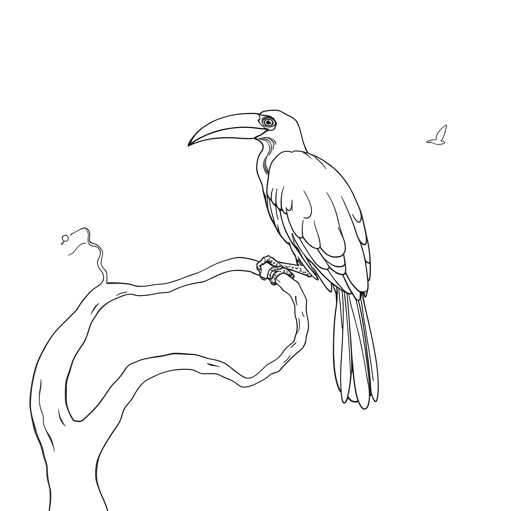 Aulacorhynchus Prasinus perched on a branch Coloring Page (free black-and-white line drawing printable PDF for all, from beginners to advanced learners, including children, teens, adults, and seniors)