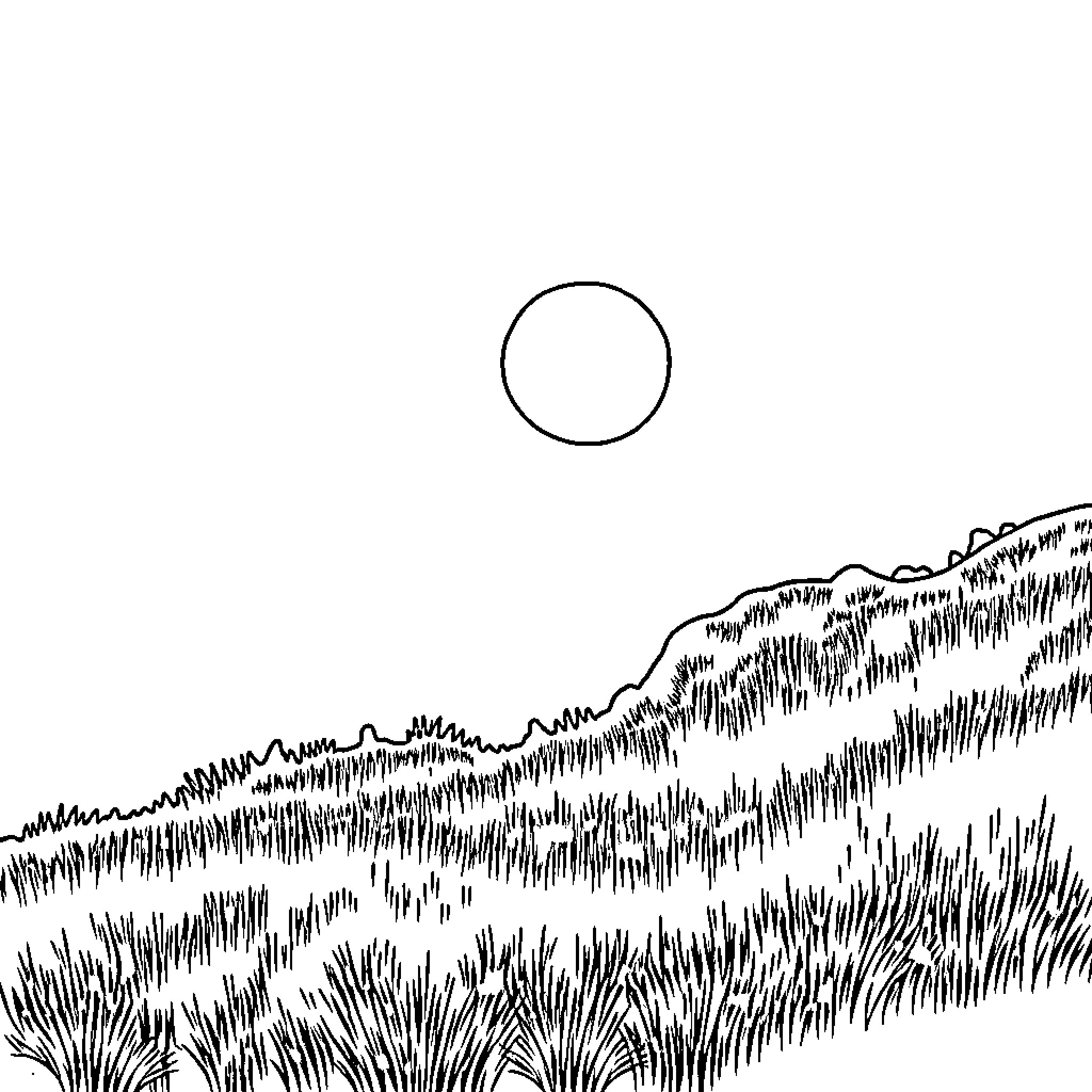 Sun shining over grassy landscape Coloring Page (free black-and-white line drawing printable PDF for all, from beginners to advanced learners, including children, teens, adults, and seniors)