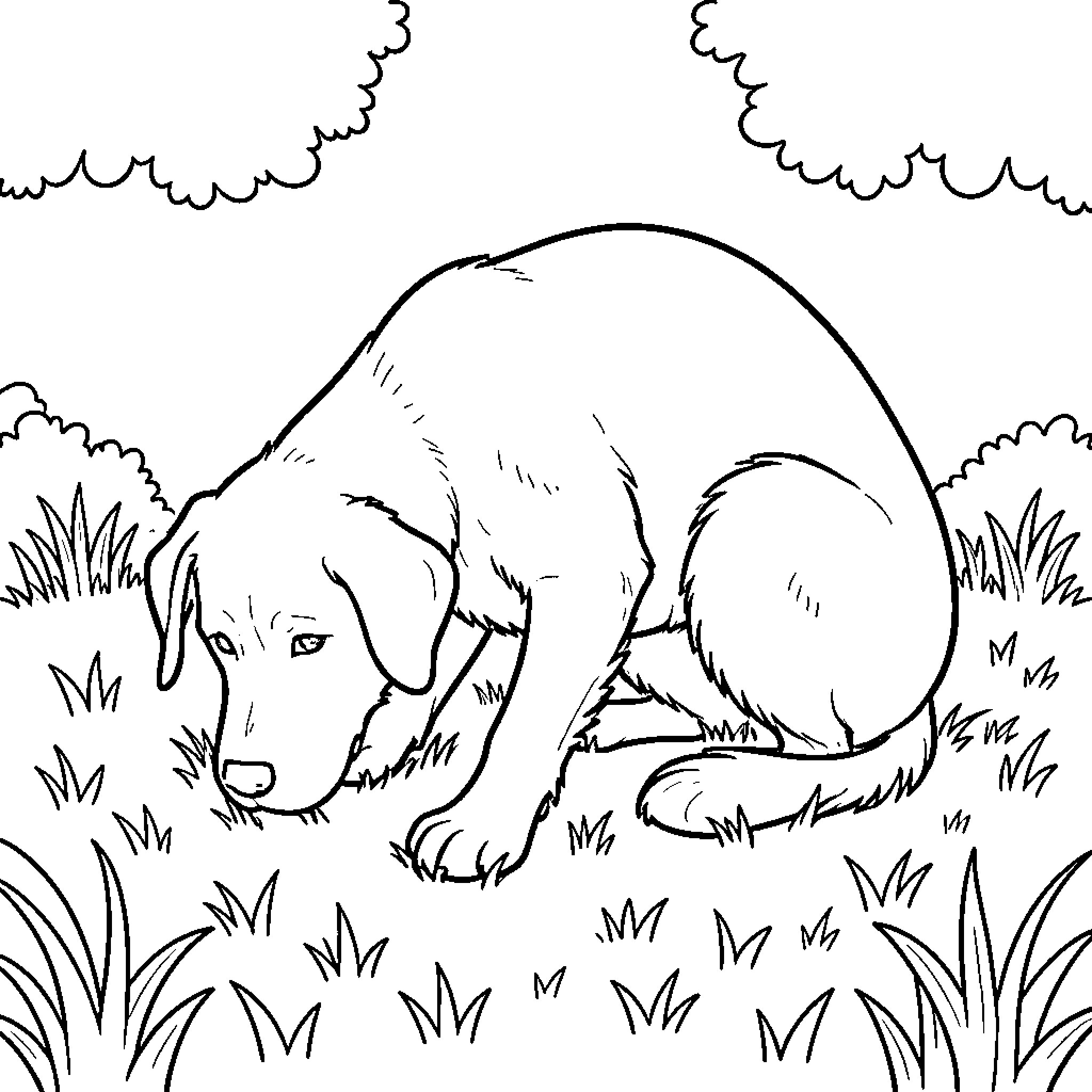 Dog sniffing the grass in a field Coloring Page (free black-and-white line drawing printable PDF for all, from beginners to advanced learners, including children, teens, adults, and seniors)