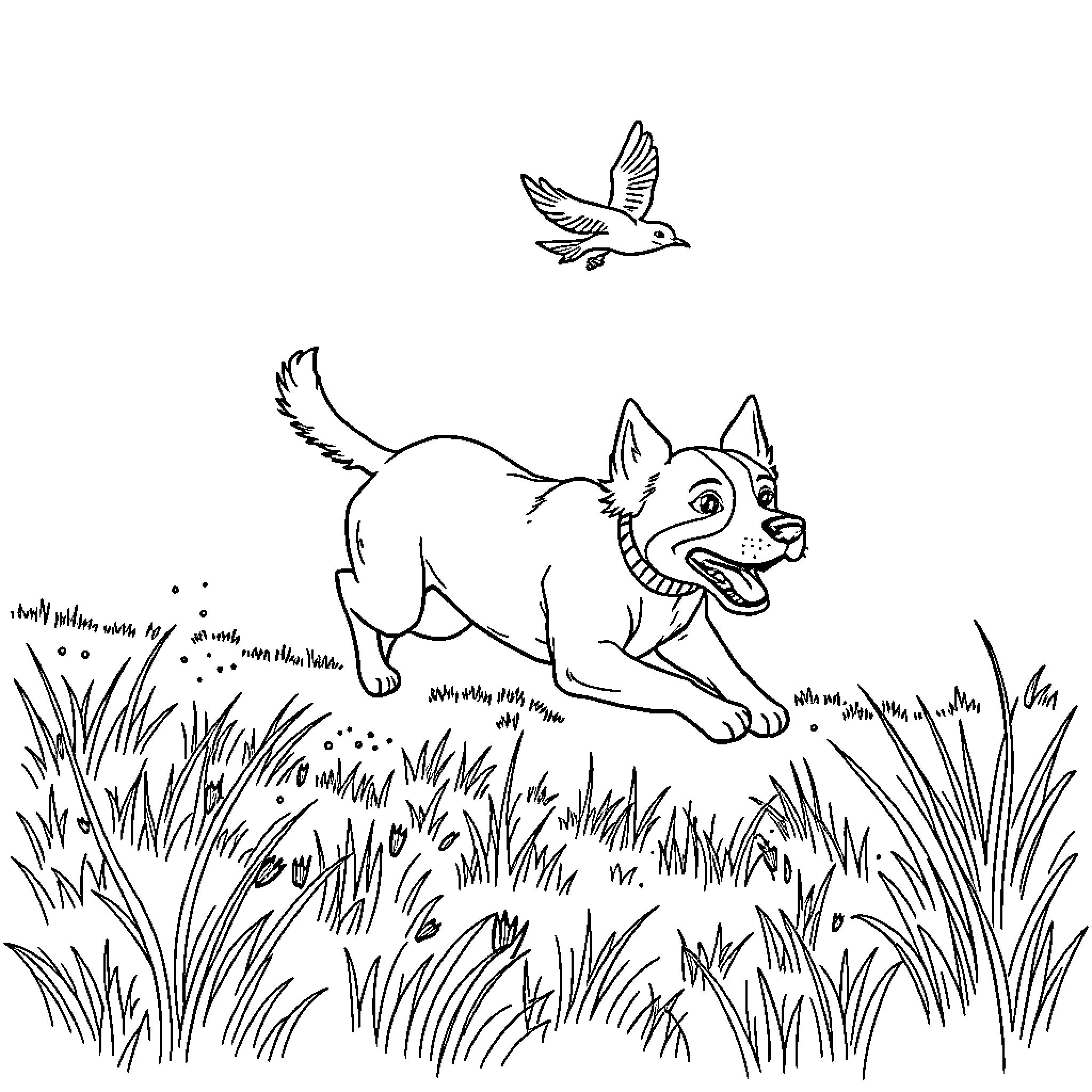Dog chasing bird in grassy field Coloring Page (free black-and-white line drawing printable PDF for all, from beginners to advanced learners, including children, teens, adults, and seniors)