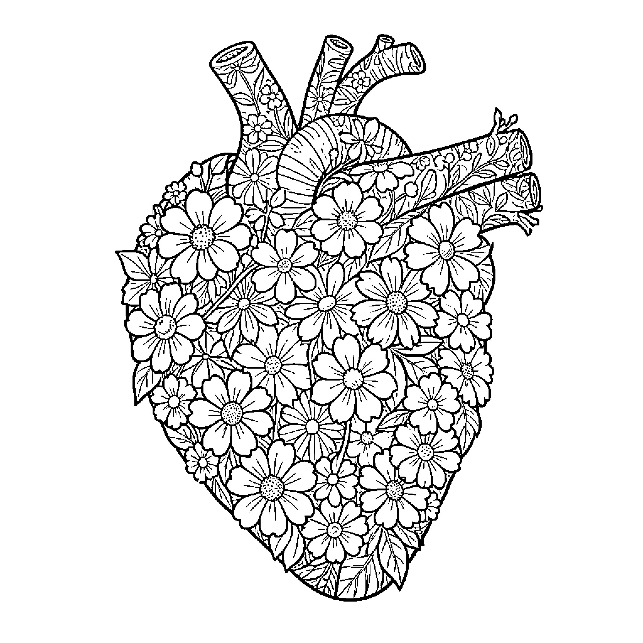 Heart Filled with Floral Patterns Coloring Page (free black-and-white line drawing printable PDF for all, from beginners to advanced learners, including children, teens, adults, and seniors)