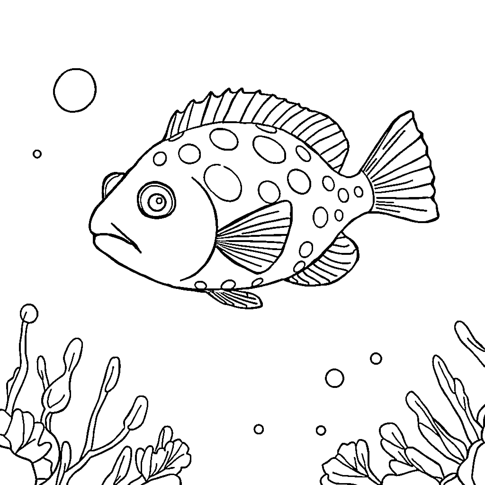 Pufferfish swimming amongst underwater plants Coloring Page (free black-and-white line drawing printable PDF for all, from beginners to advanced learners, including children, teens, adults, and seniors)