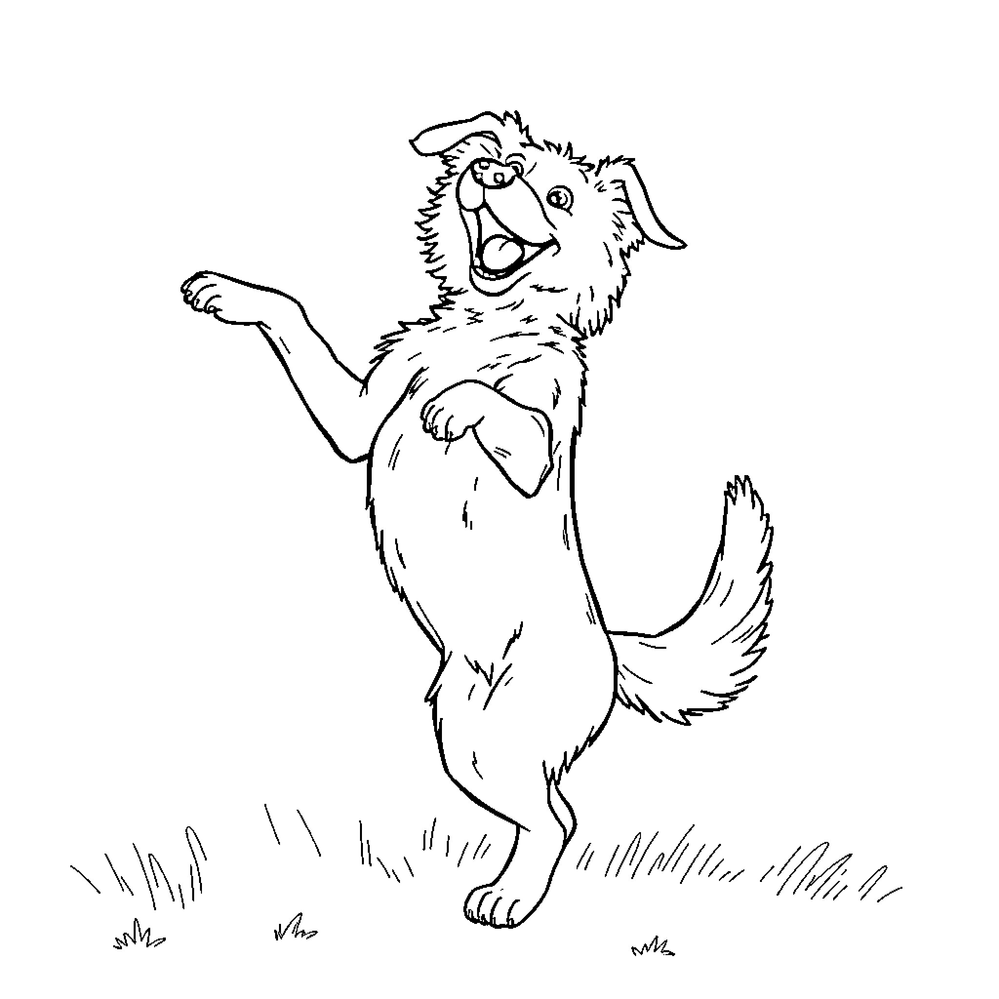 Dog jumping excitedly in field Coloring Page (free black-and-white line drawing printable PDF for all, from beginners to advanced learners, including children, teens, adults, and seniors)