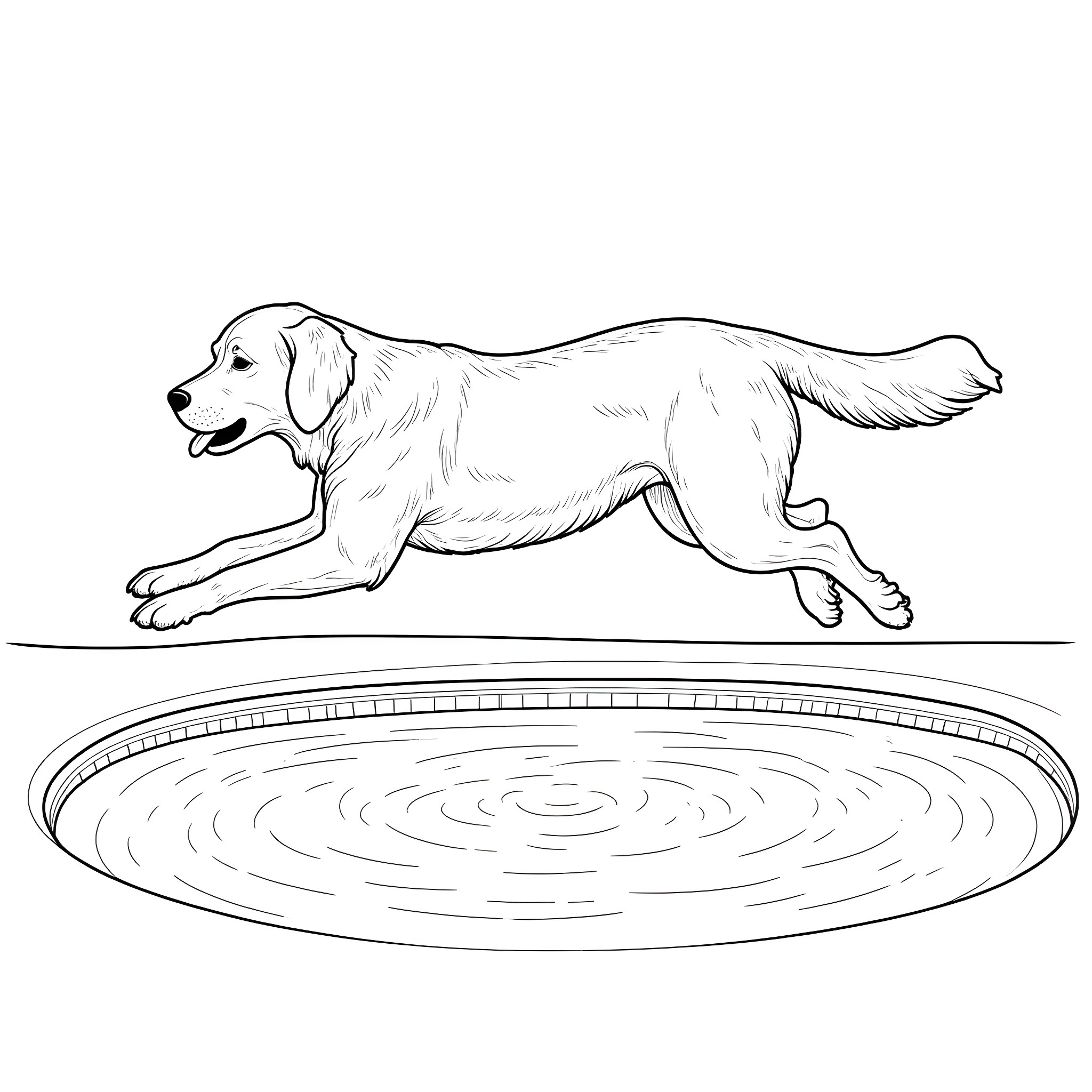 Golden Retriever playing in water dish Coloring Page (free black-and-white line drawing printable PDF for all, from beginners to advanced learners, including children, teens, adults, and seniors)