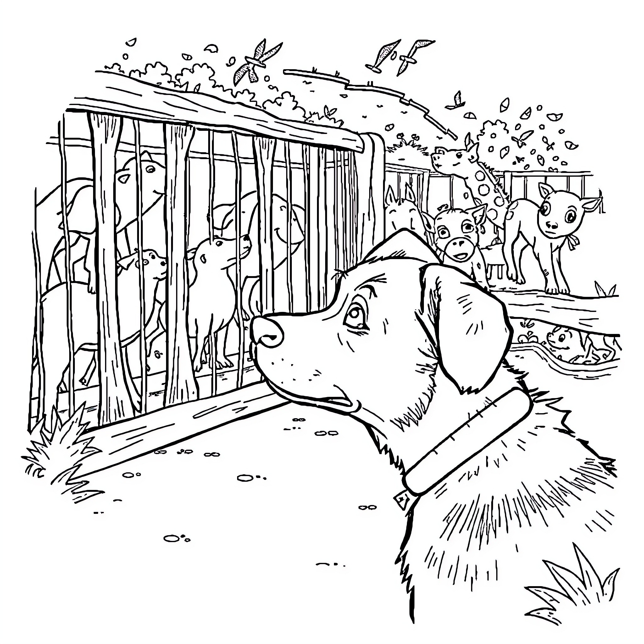 Dog running excitedly in a zoo enclosure Coloring Page (free black-and-white line drawing printable PDF for all, from beginners to advanced learners, including children, teens, adults, and seniors)