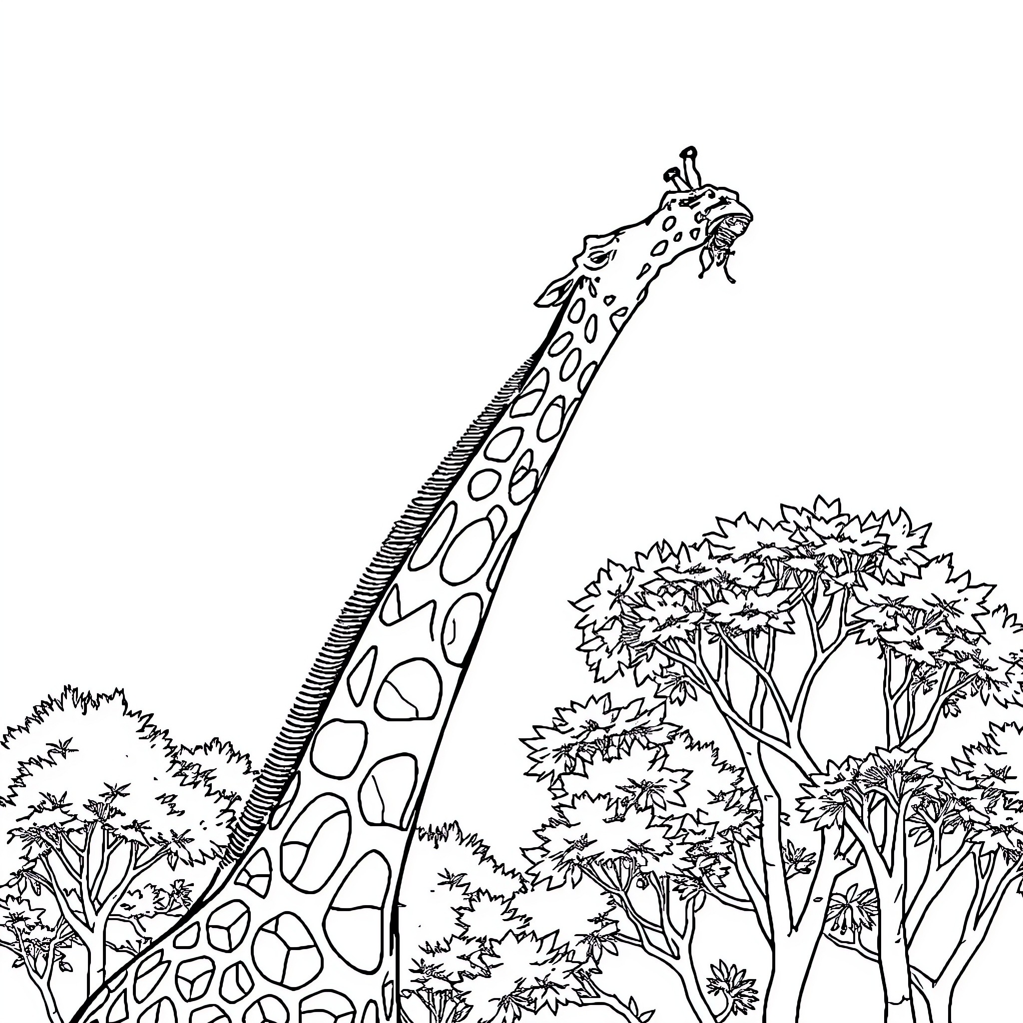 Giraffe looking over the trees in the wild Coloring Page (free black-and-white line drawing printable PDF for all, from beginners to advanced learners, including children, teens, adults, and seniors)