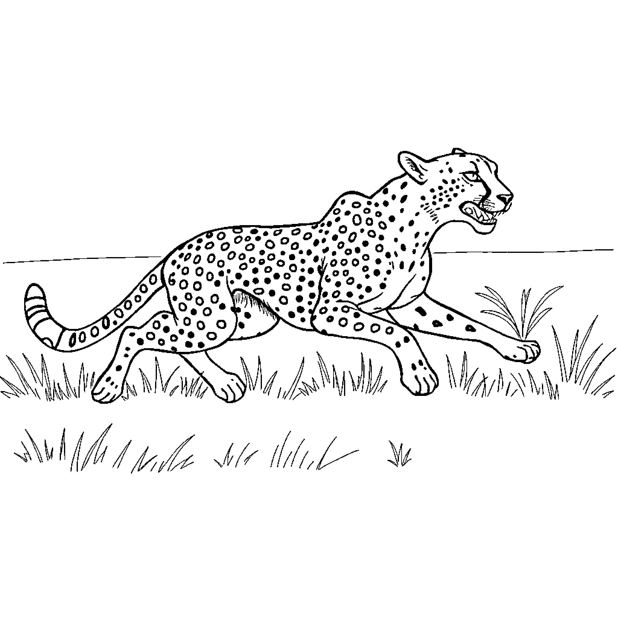 Cheetah running through the grasslands Coloring Page (free black-and-white line drawing printable PDF for all, from beginners to advanced learners, including children, teens, adults, and seniors)