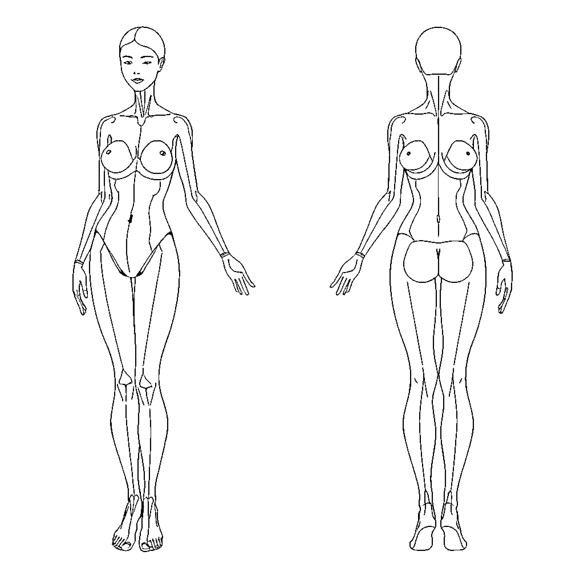 Plane figure showing anatomical structure Coloring Page (free black-and-white line drawing printable PDF for all, from beginners to advanced learners, including children, teens, adults, and seniors)