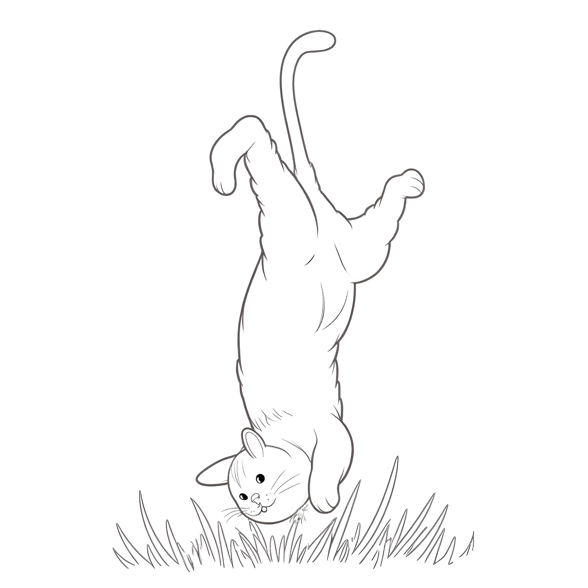 Cat playing in the grass Coloring Page (free black-and-white line drawing printable PDF for all, from beginners to advanced learners, including children, teens, adults, and seniors)