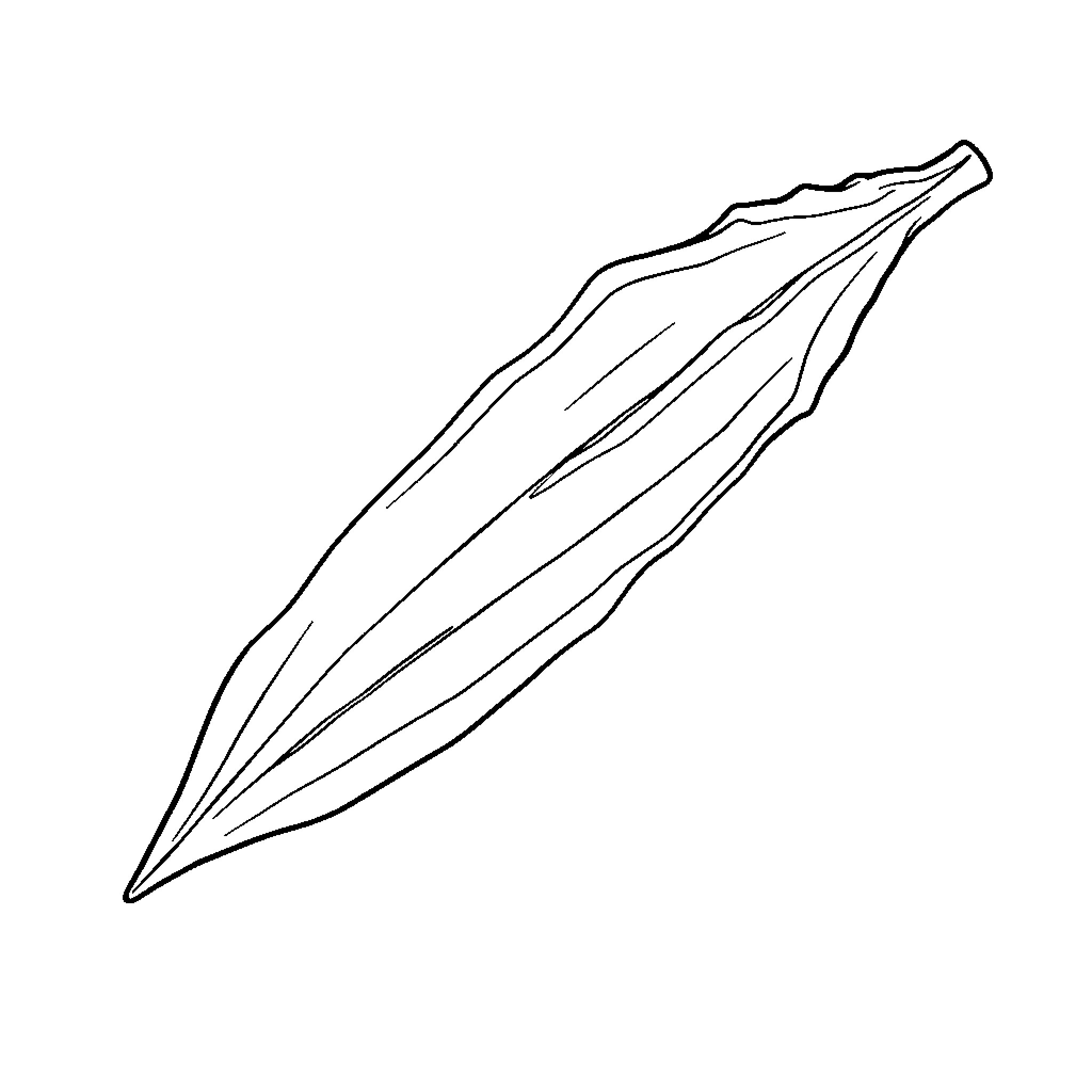 Okra pod in simple line art Coloring Page (free black-and-white line drawing printable PDF for all, from beginners to advanced learners, including children, teens, adults, and seniors)