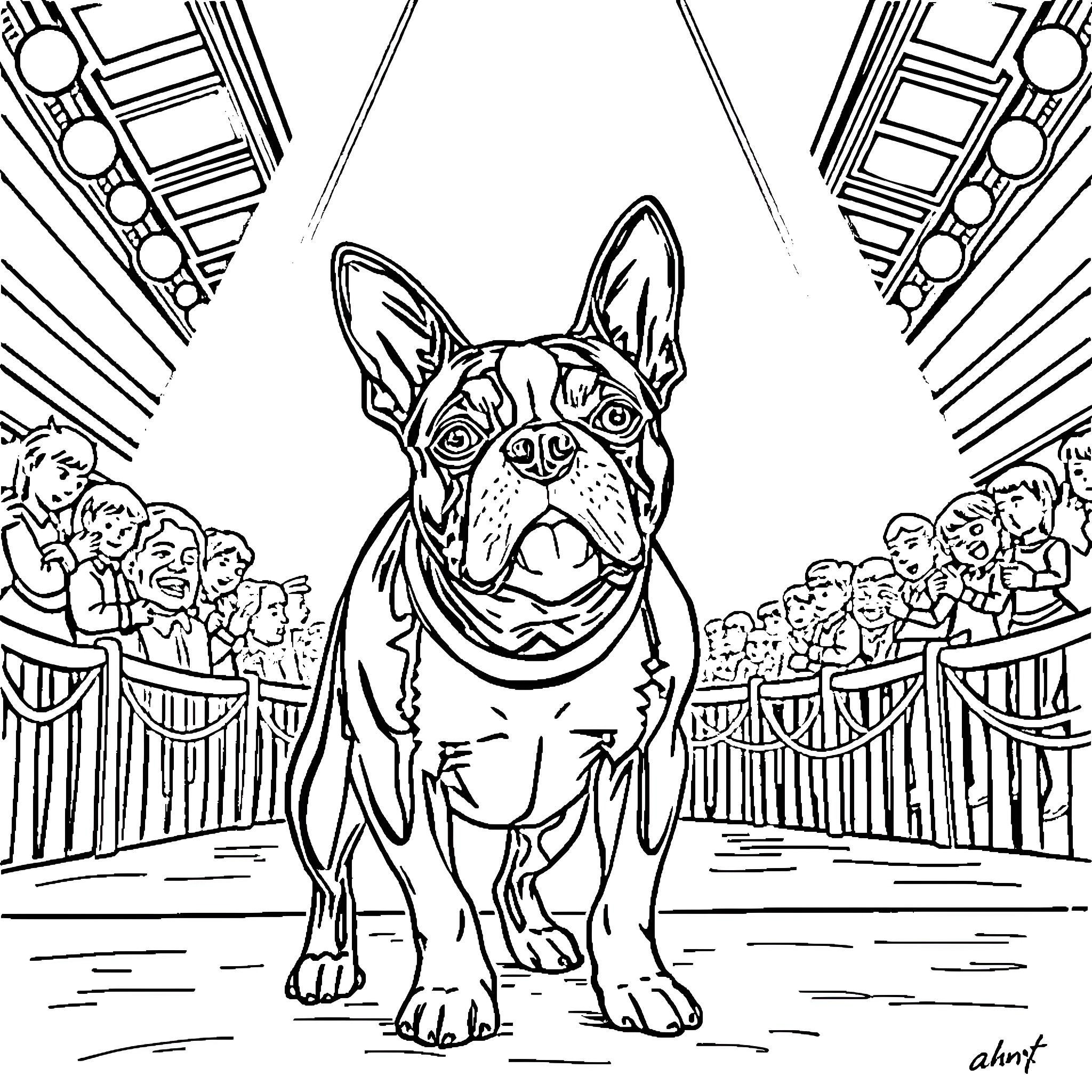 Boston Terrier performing tricks for a crowd Coloring Page (free black-and-white line drawing printable PDF for all, from beginners to advanced learners, including children, teens, adults, and seniors)