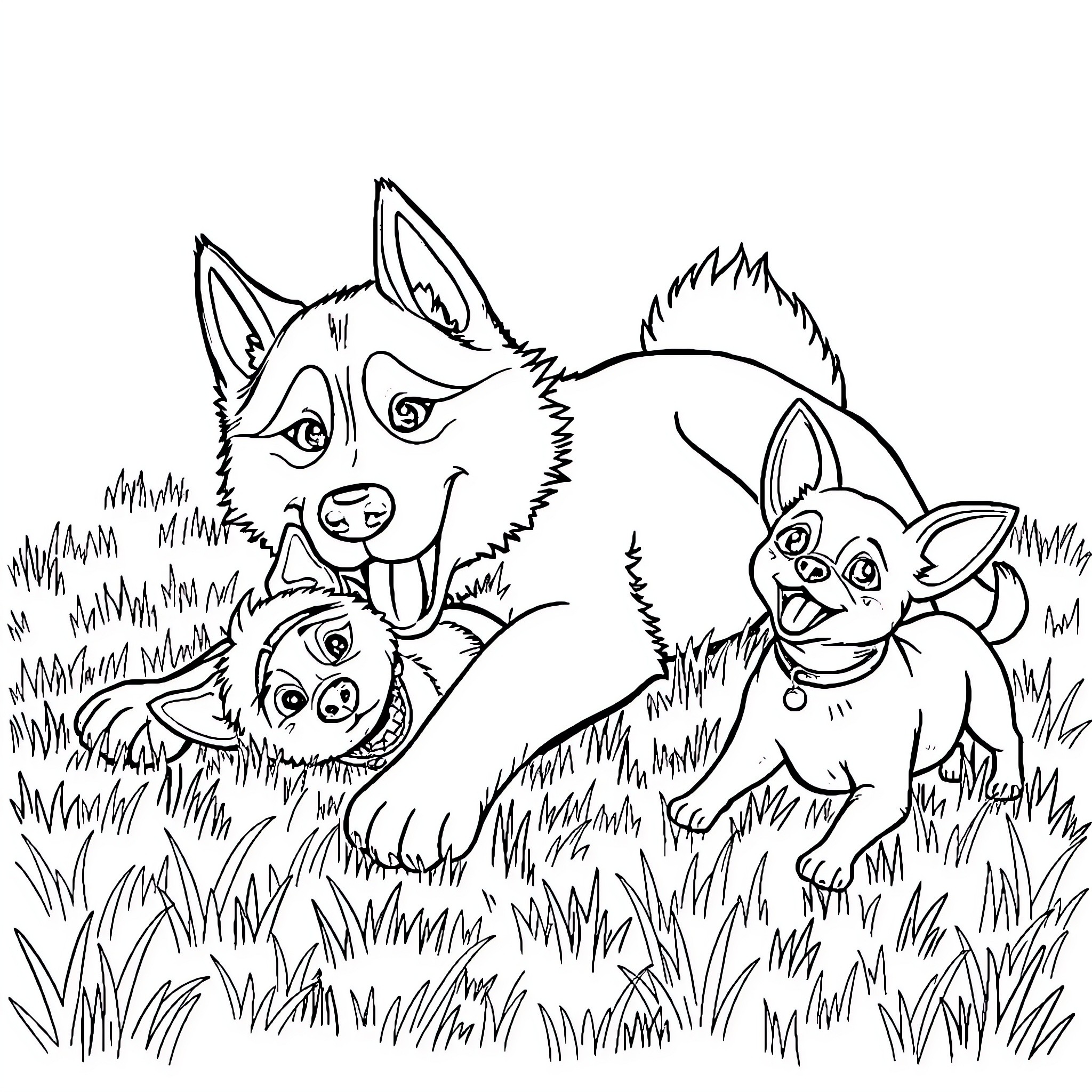 Husky puppies playing in the grass Coloring Page (free black-and-white line drawing printable PDF for all, from beginners to advanced learners, including children, teens, adults, and seniors)