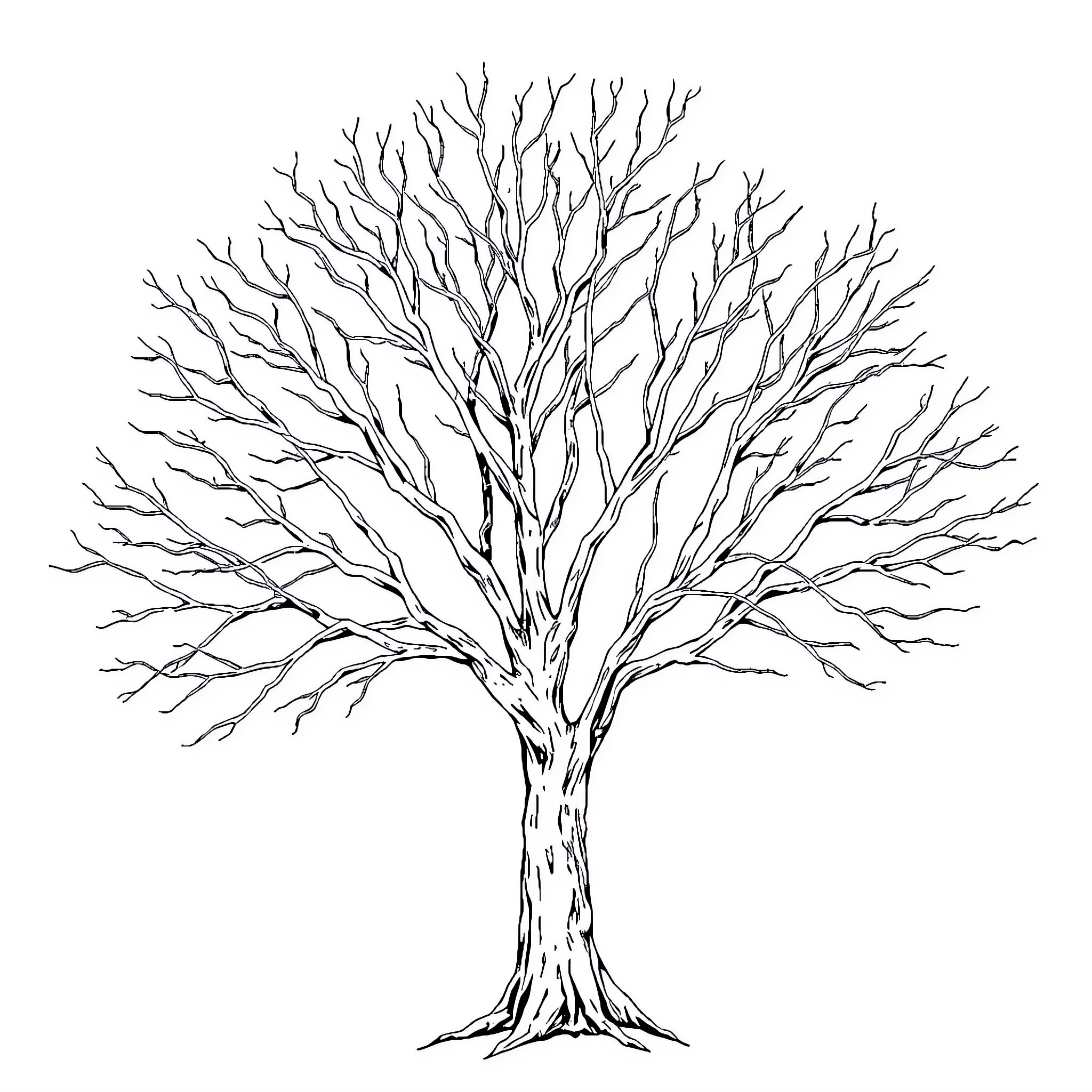 Tree with Intricate Bare Branches Coloring Page (free black-and-white line drawing printable PDF for all, from beginners to advanced learners, including children, teens, adults, and seniors)