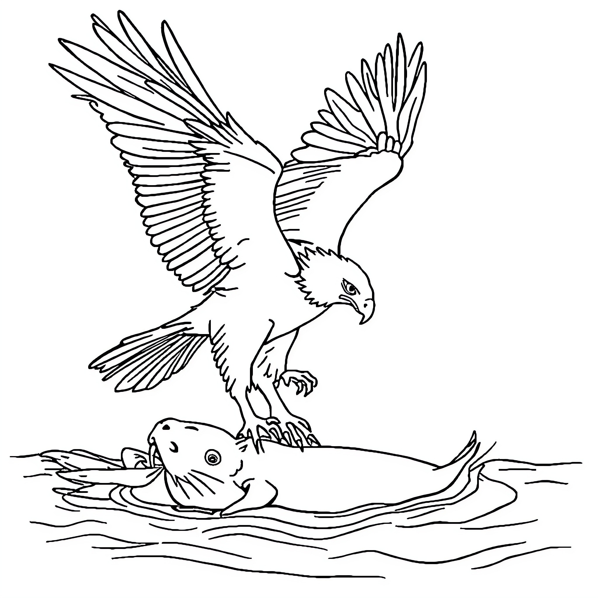Seeadler hunting prey in the water Coloring Page (free black-and-white line drawing printable PDF for all, from beginners to advanced learners, including children, teens, adults, and seniors)