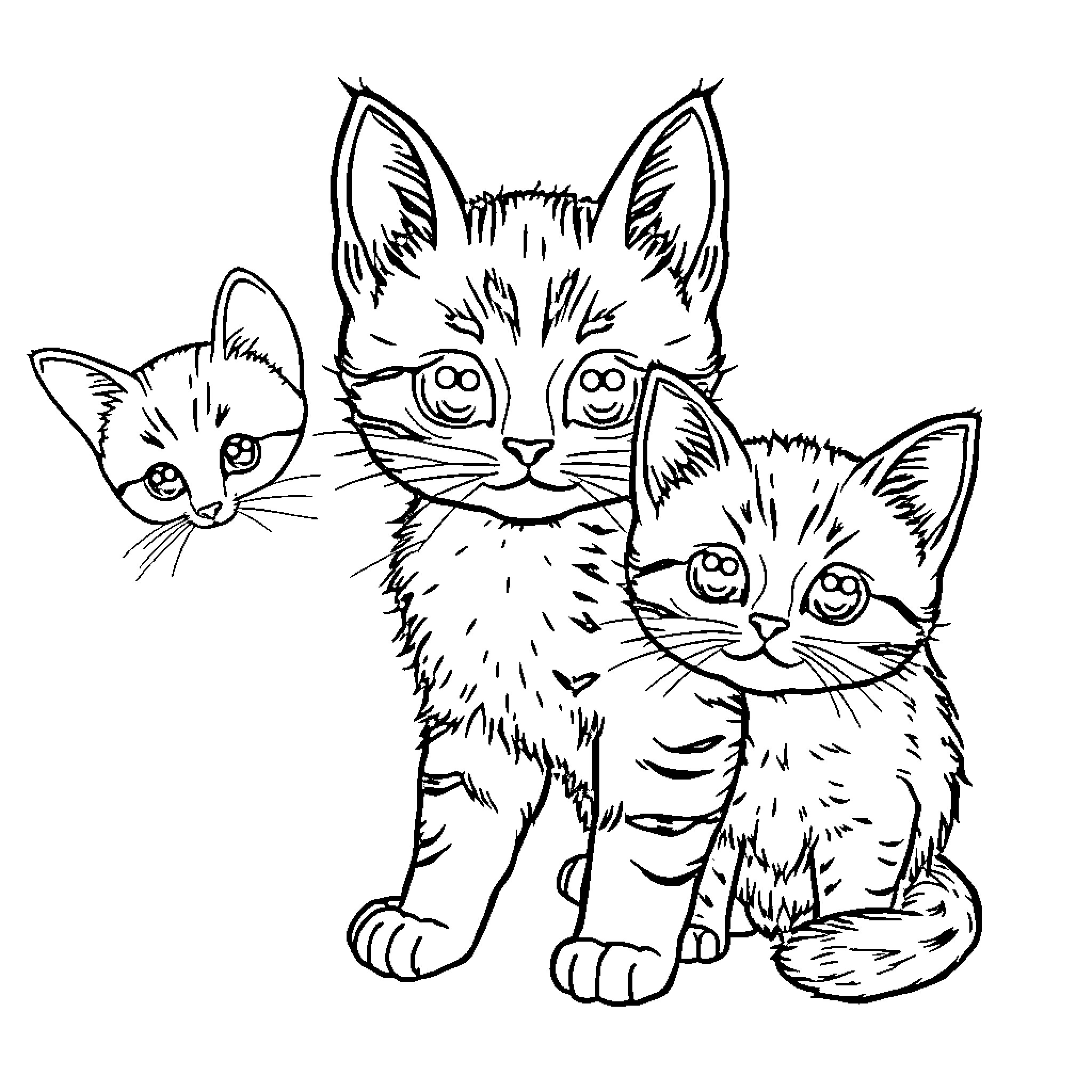 Animal kittens posing together Coloring Page (free black-and-white line drawing printable PDF for all, from beginners to advanced learners, including children, teens, adults, and seniors)