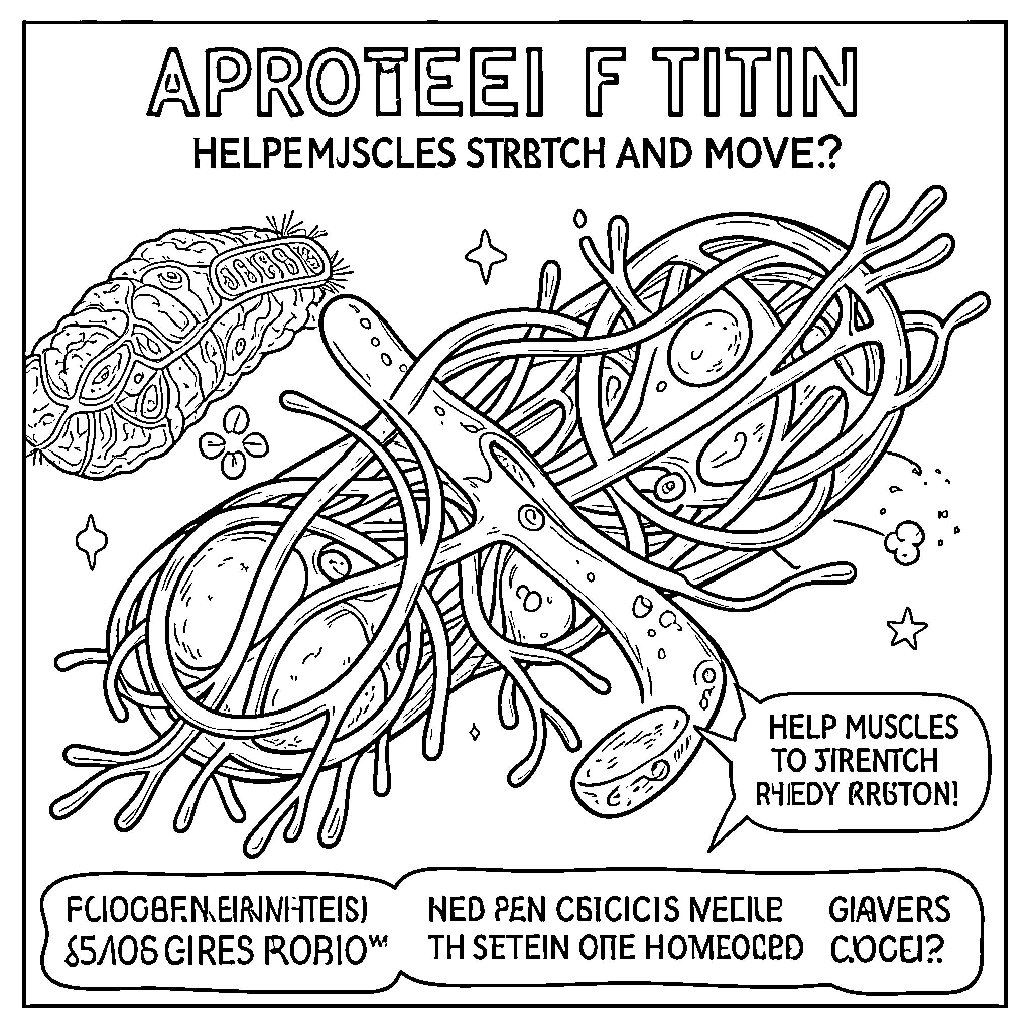 Titin protein structure helping muscles stretch and move Coloring Page (free black-and-white line drawing printable PDF for all, from beginners to advanced learners, including children, teens, adults, and seniors)