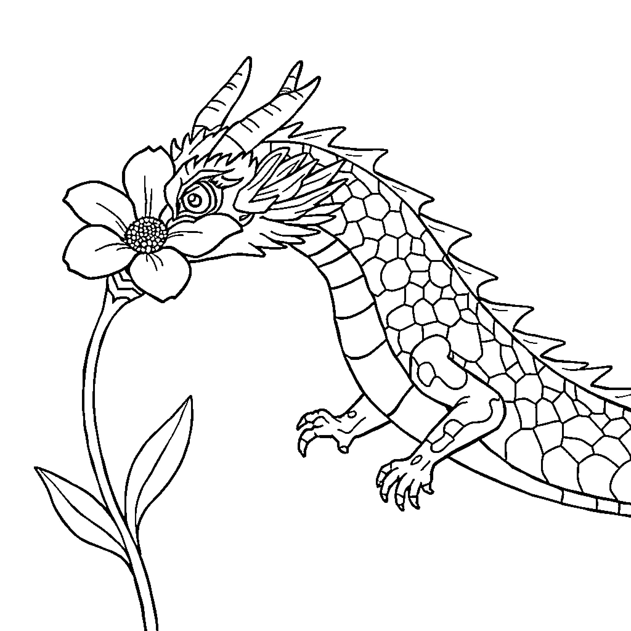 Dragon playing with flower in the garden Coloring Page (free black-and-white line drawing printable PDF for all, from beginners to advanced learners, including children, teens, adults, and seniors)
