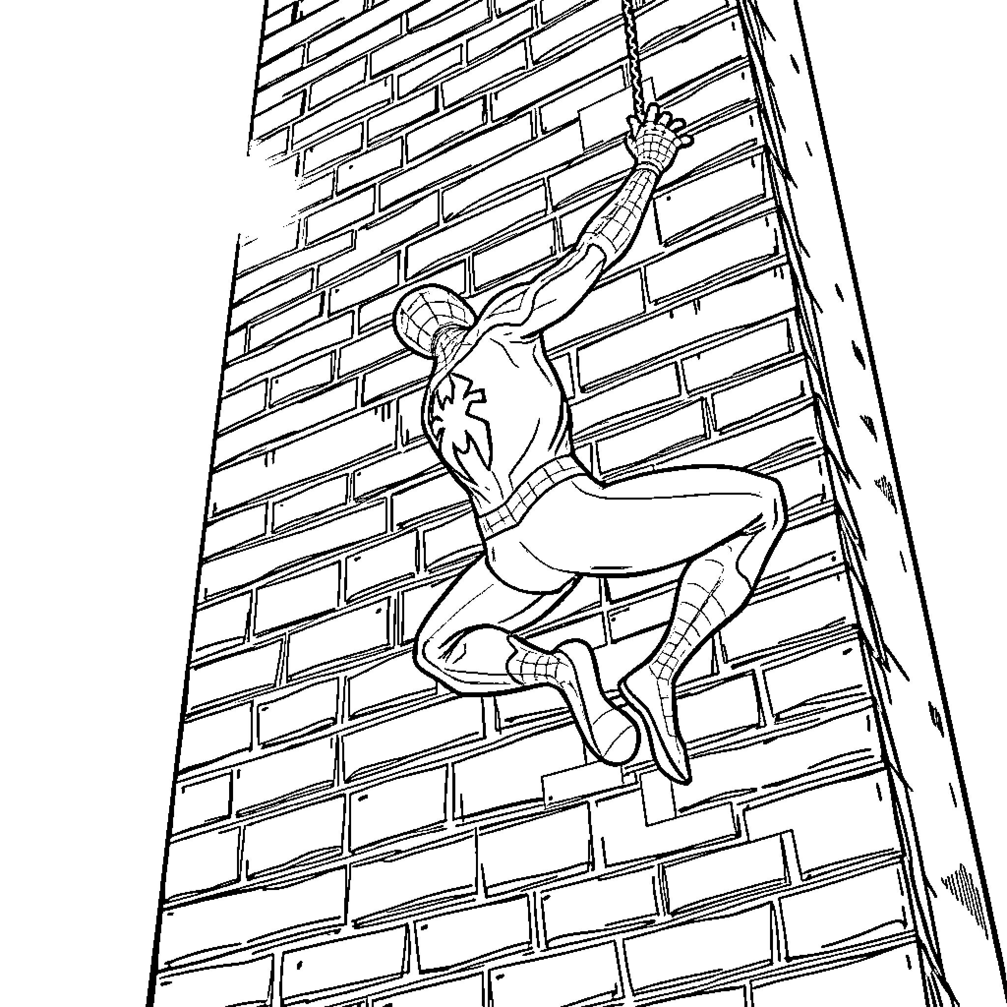 Spiderman scaling a brick wall Coloring Page (free black-and-white line drawing printable PDF for all, from beginners to advanced learners, including children, teens, adults, and seniors)